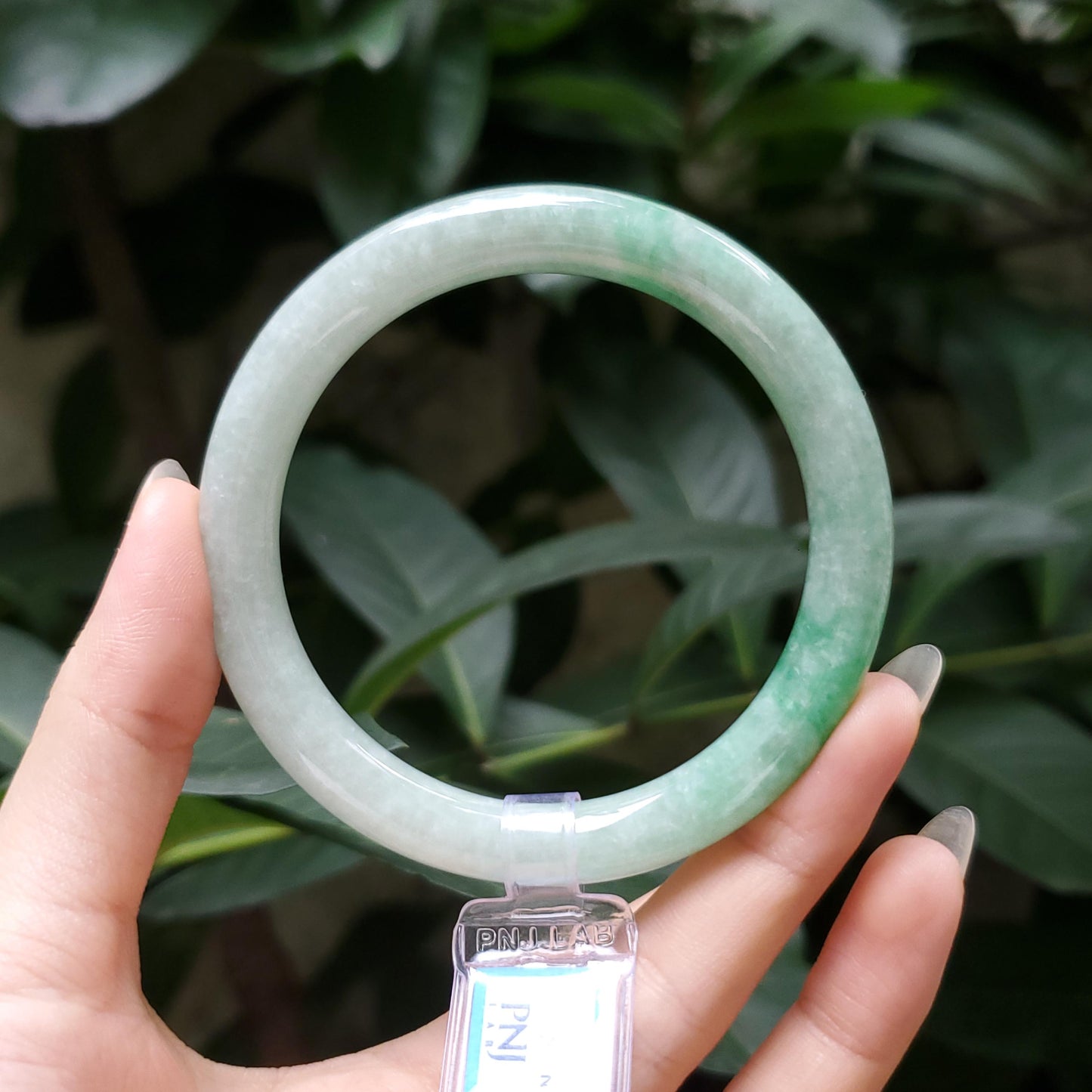 Yingmart  55mm PNJ Certified Natural Color Grey White Natural Jadeite Jade Bangle Bracelet, Real Gemstone, Gift for Her Mom Grandma Sister