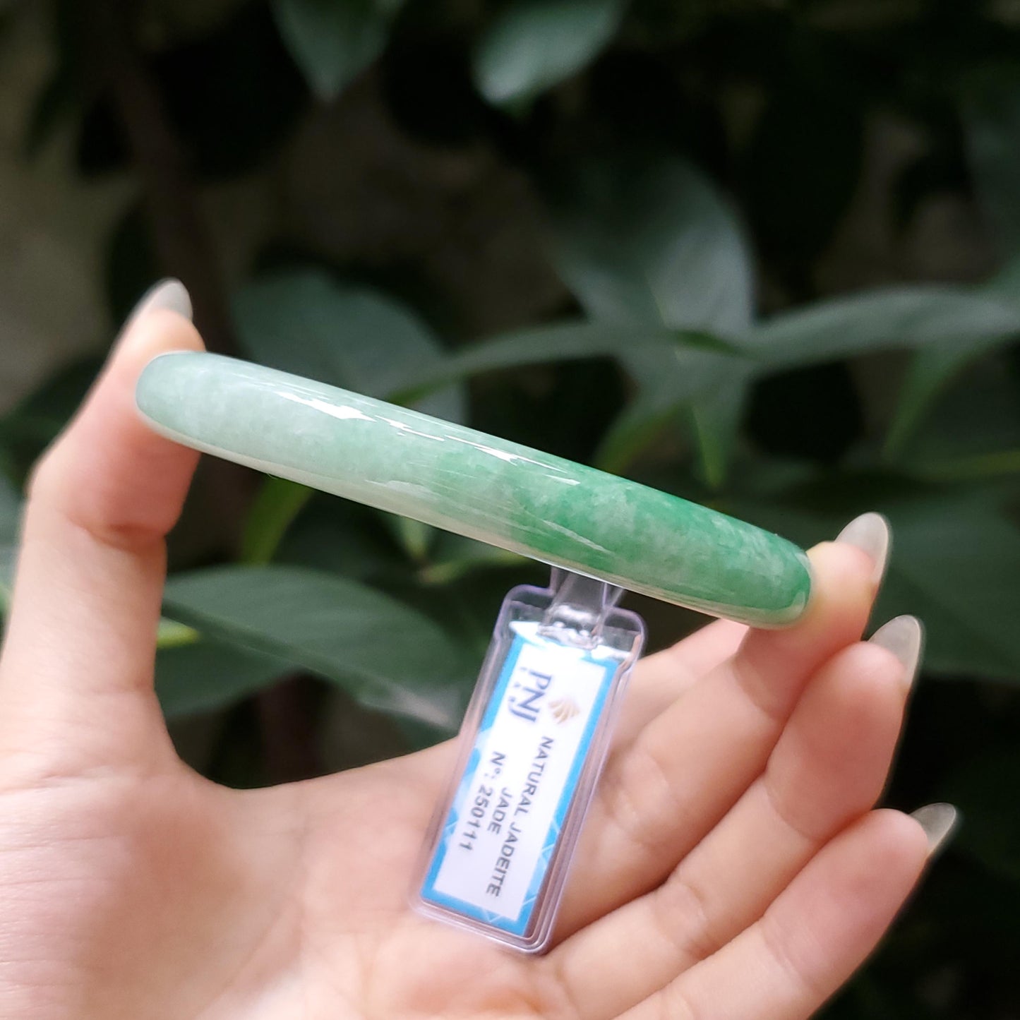 Yingmart  56mm PNJ Certified Natural Color Grey White Natural Jadeite Jade Bangle Bracelet, Real Gemstone, Gift for Her Mom Grandma Sister