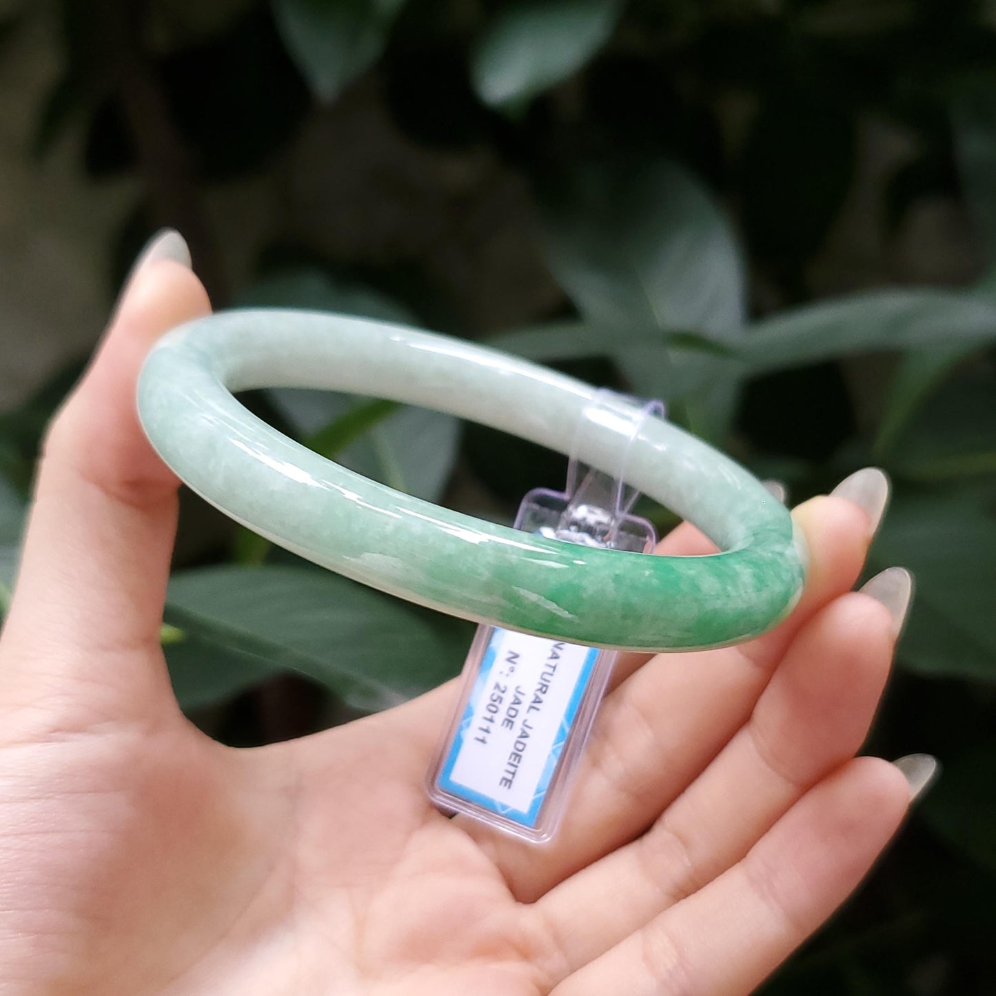 Yingmart  56mm PNJ Certified Natural Color Grey White Natural Jadeite Jade Bangle Bracelet, Real Gemstone, Gift for Her Mom Grandma Sister