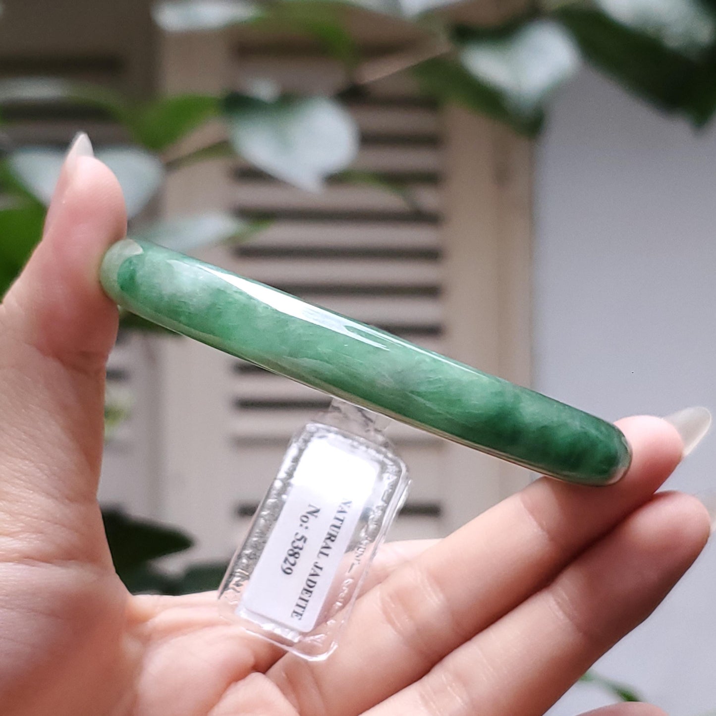 Yingmart  56mm PNJ Certified Natural Color Medium Green, Grey White Natural Jadeite Jade Bangle Bracelet, Real Gemstone, Gift for Her Mom