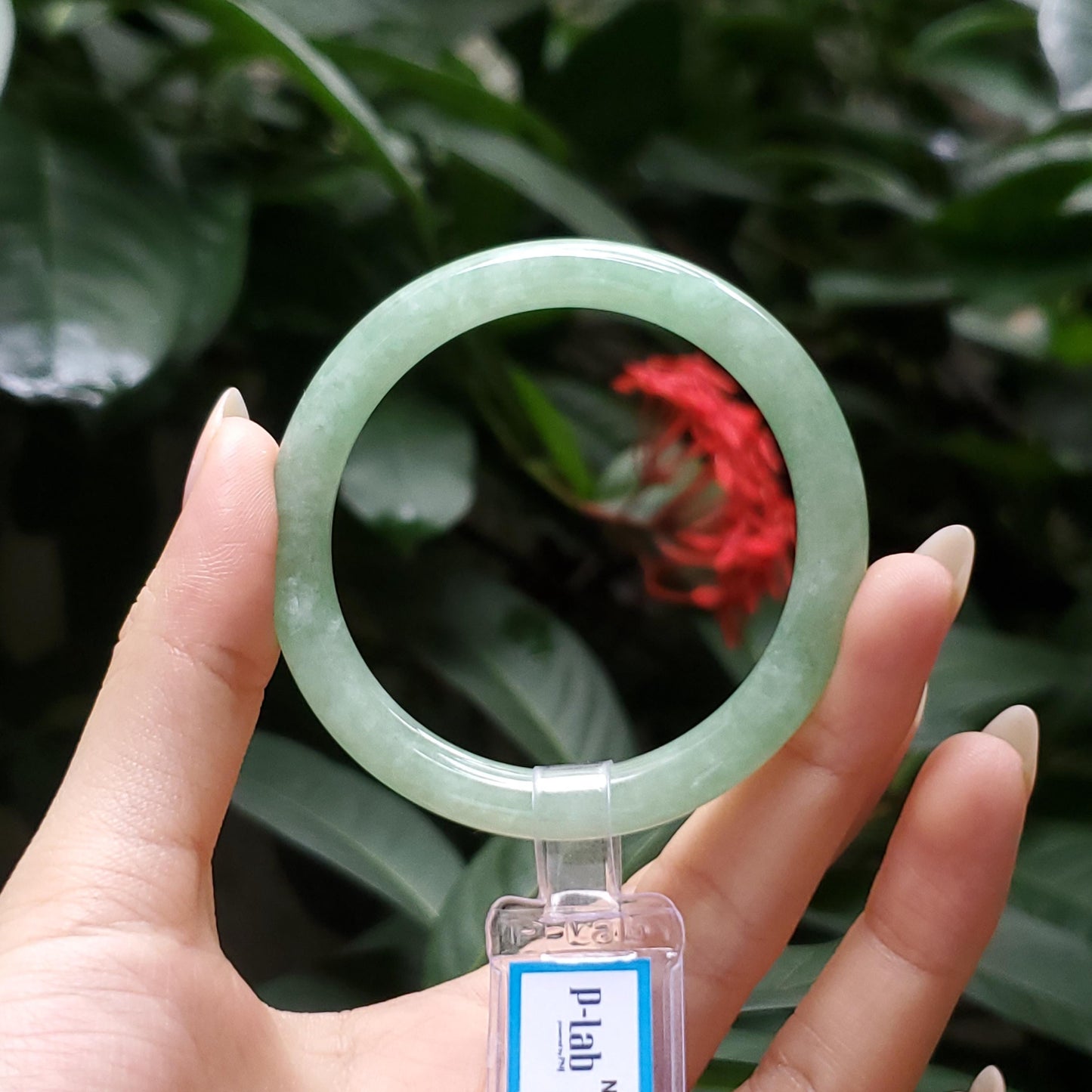 Yingmart  47mm PNJ Certified Natural Color Grey White Natural Jadeite Jade Bangle Bracelet, Real Gemstone, Gift for Her Mom Grandma Sister