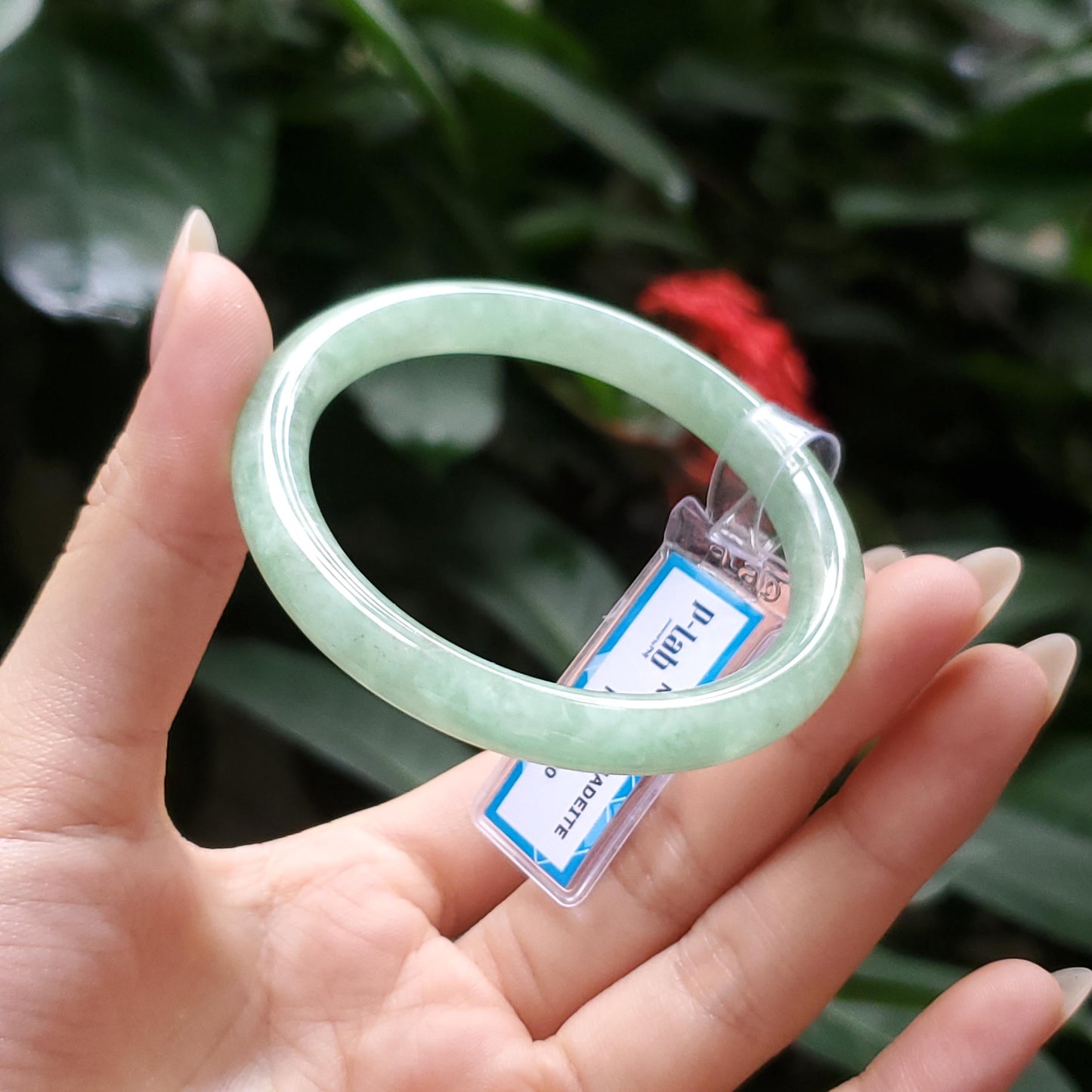 Yingmart  47mm PNJ Certified Natural Color Grey White Natural Jadeite Jade Bangle Bracelet, Real Gemstone, Gift for Her Mom Grandma Sister