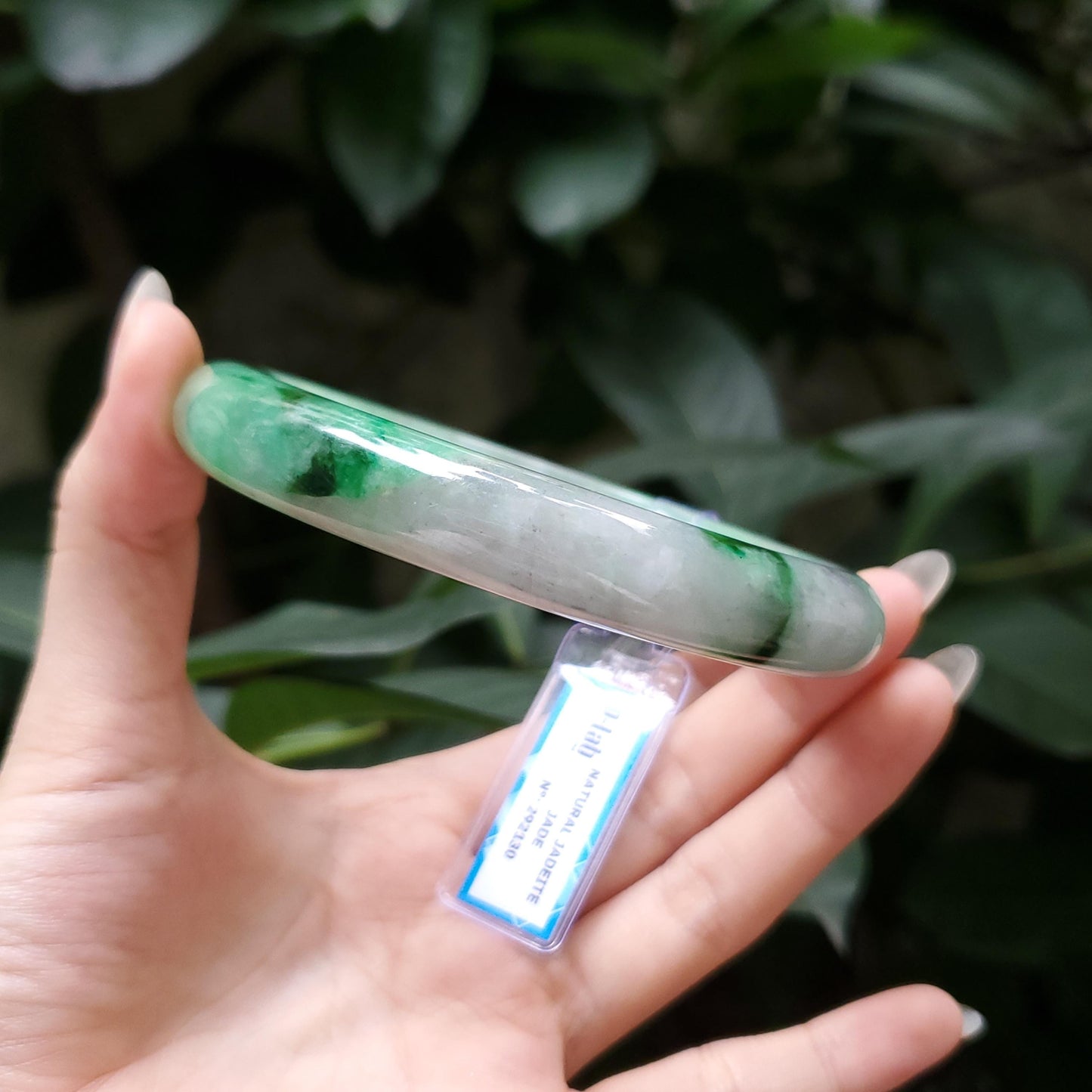 Yingmart 66mm PNJ Certified Natural Color Grey White Natural Jadeite Jade Bangle Bracelet, Real Gemstone, Gift for Her Mom Grandma Sister