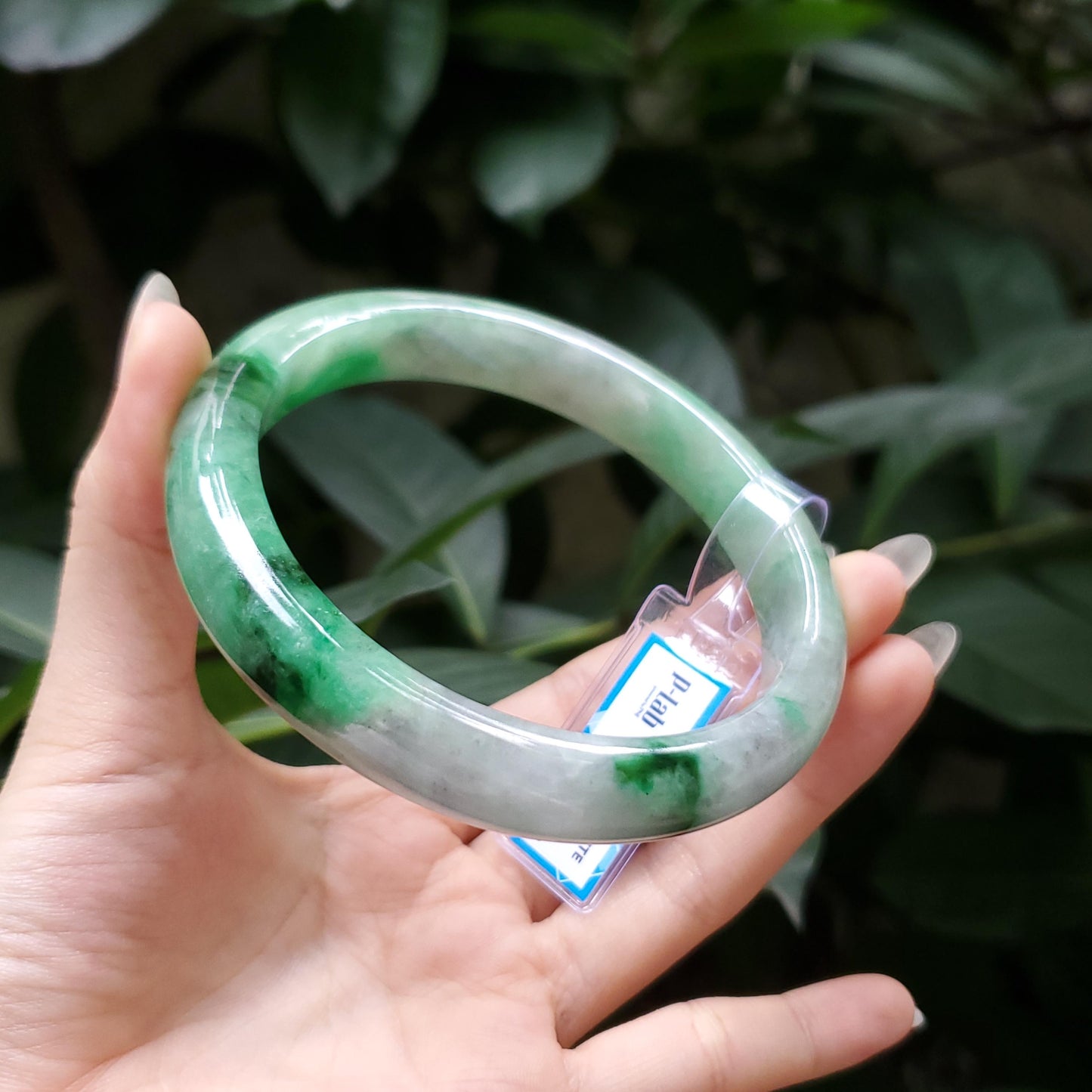 Yingmart 66mm PNJ Certified Natural Color Grey White Natural Jadeite Jade Bangle Bracelet, Real Gemstone, Gift for Her Mom Grandma Sister