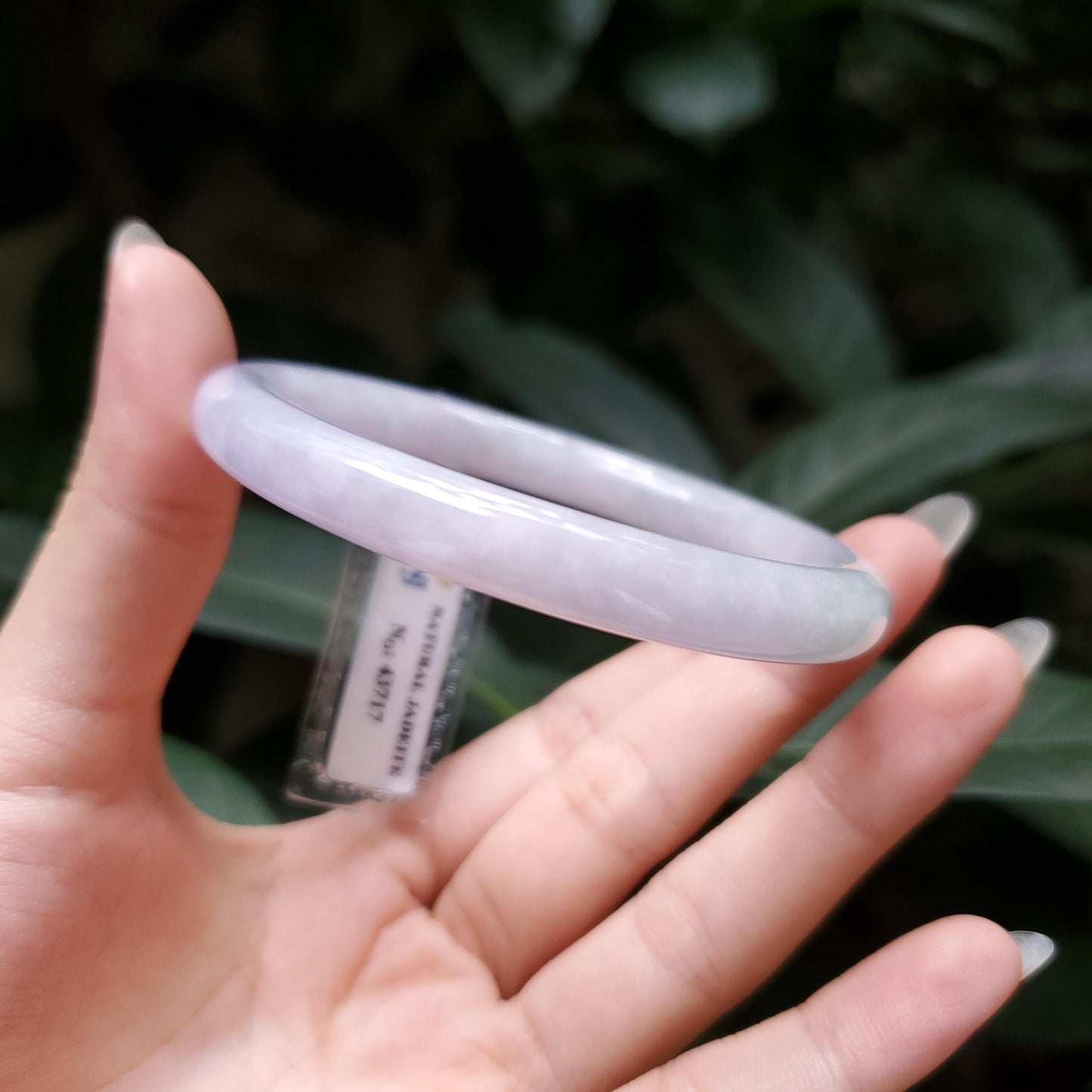 Yingmart  52mm PNJ Certified Natural Color Greenish Grey White Natural Jadeite Jade Bangle Bracelet, Real Gemstone, Gift for Her Mom Sister