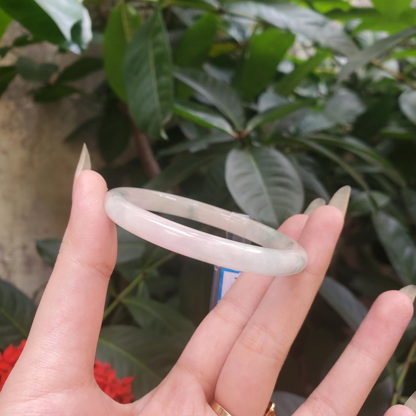 Yingmart 53mm PNJ319542 Certified Natural Color Green White To Green, Yellowish White Natural Jadeite Jade Bangle Bracelet, Real Gemstone