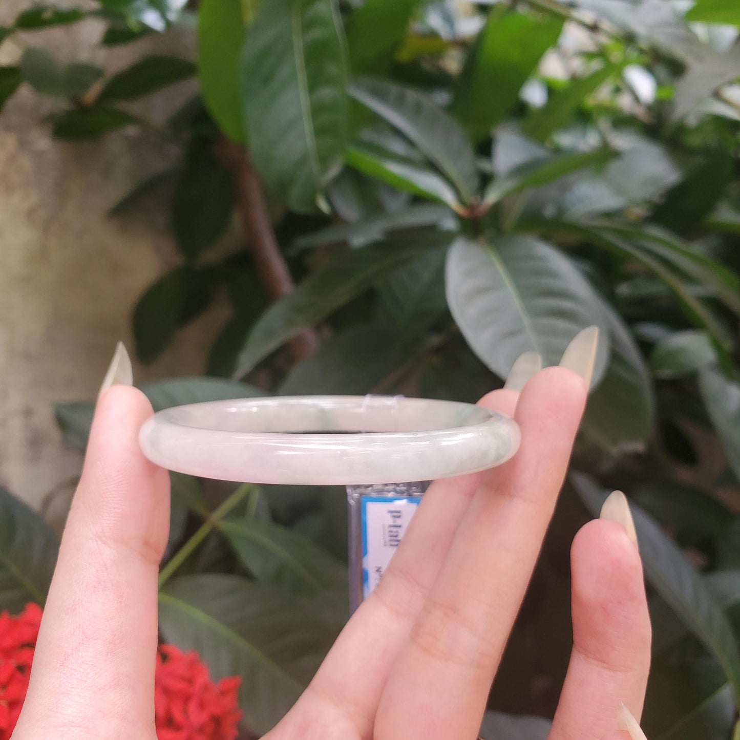 Yingmart 53mm PNJ319542 Certified Natural Color Green White To Green, Yellowish White Natural Jadeite Jade Bangle Bracelet, Real Gemstone