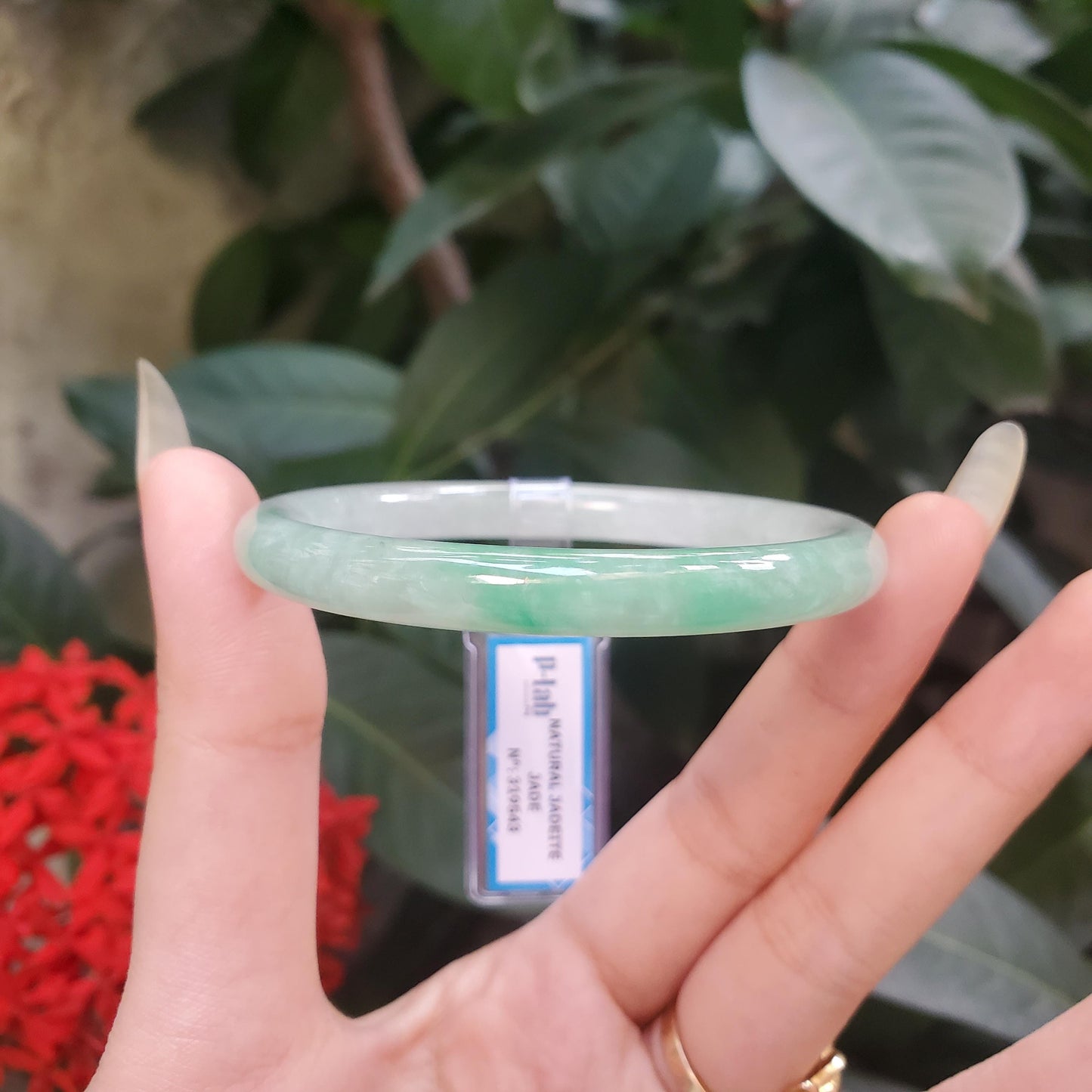 Yingmart 52mm PNJ319543 Certified Natural Green White To Green Bracelet, Real Gemstone Bracelet, Vintage Jewelry, Gift for her