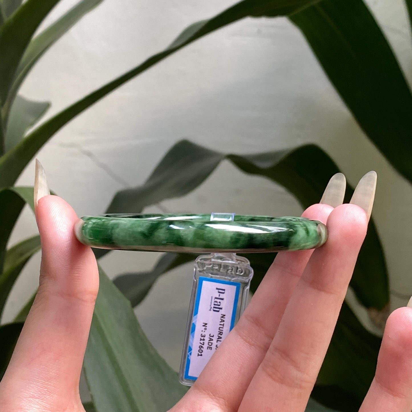 Yingmart 58 mm PNJ317601 Certified Natural Color Grey White Natural Jadeite Jade Bangle Bracelet, Real Gemstone, Gift for Her Mom Grandma