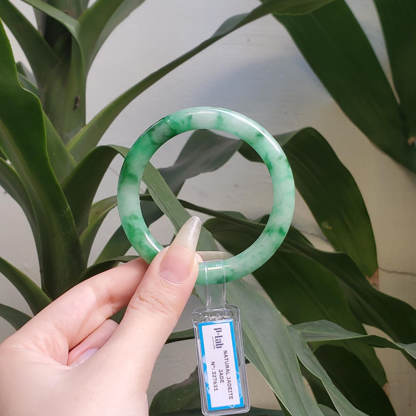 Yingmart 54mm PNJ327631 Certified Natural Color Grey White Natural Jadeite Jade Bangle Bracelet, Real Gemstone, Gift for Her Mom Grandma