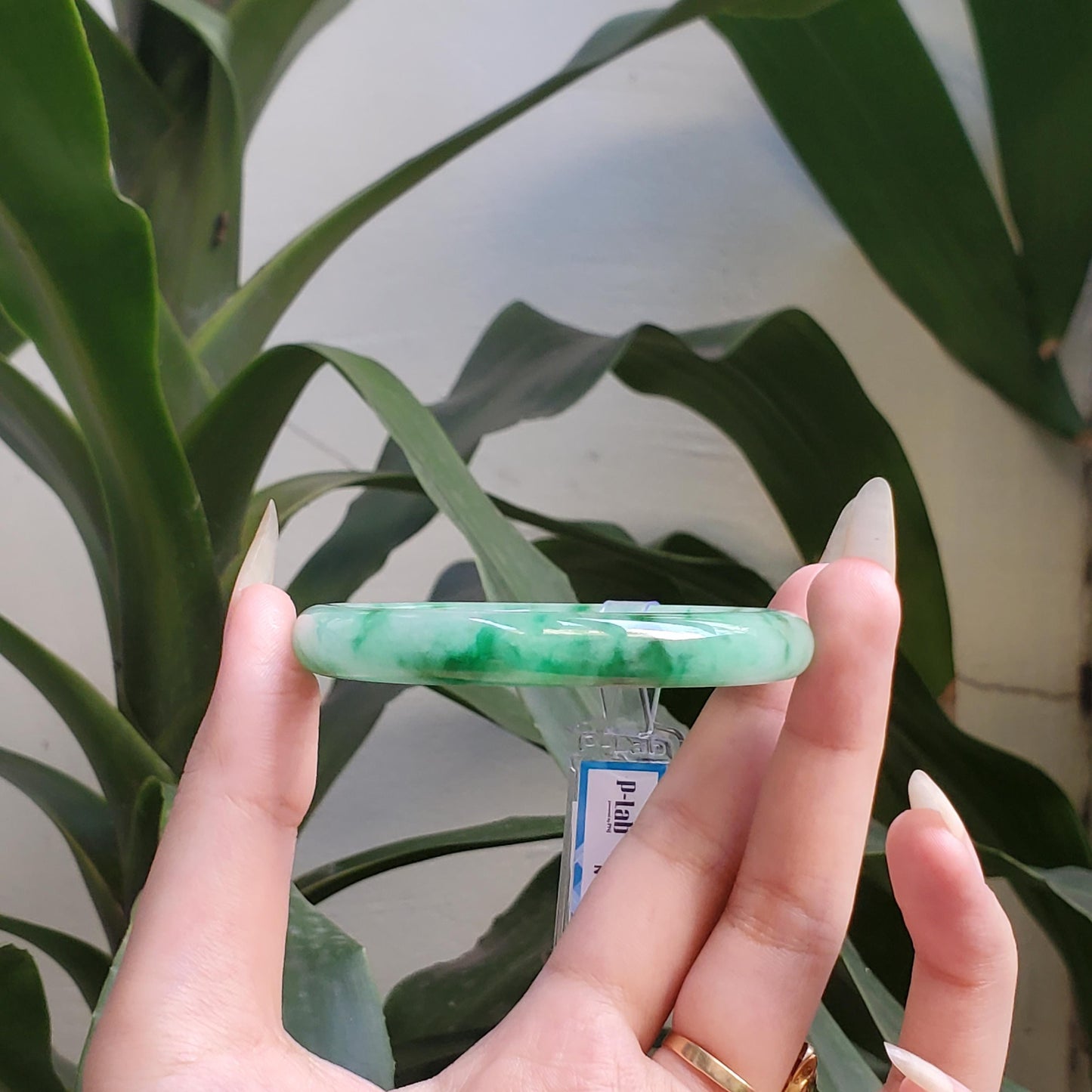 Yingmart 54mm PNJ327631 Certified Natural Color Grey White Natural Jadeite Jade Bangle Bracelet, Real Gemstone, Gift for Her Mom Grandma