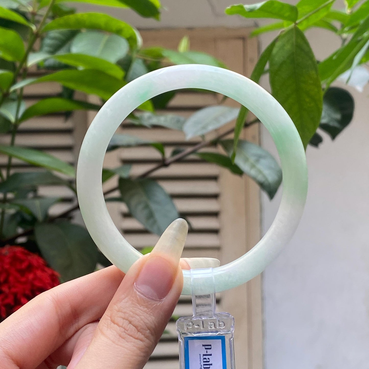 Yingmart 61mm PNJ317605 Certified Natural Color Grey White Natural Jadeite Jade Bangle Bracelet, Real Gemstone, Gift for Her Mom Grandma