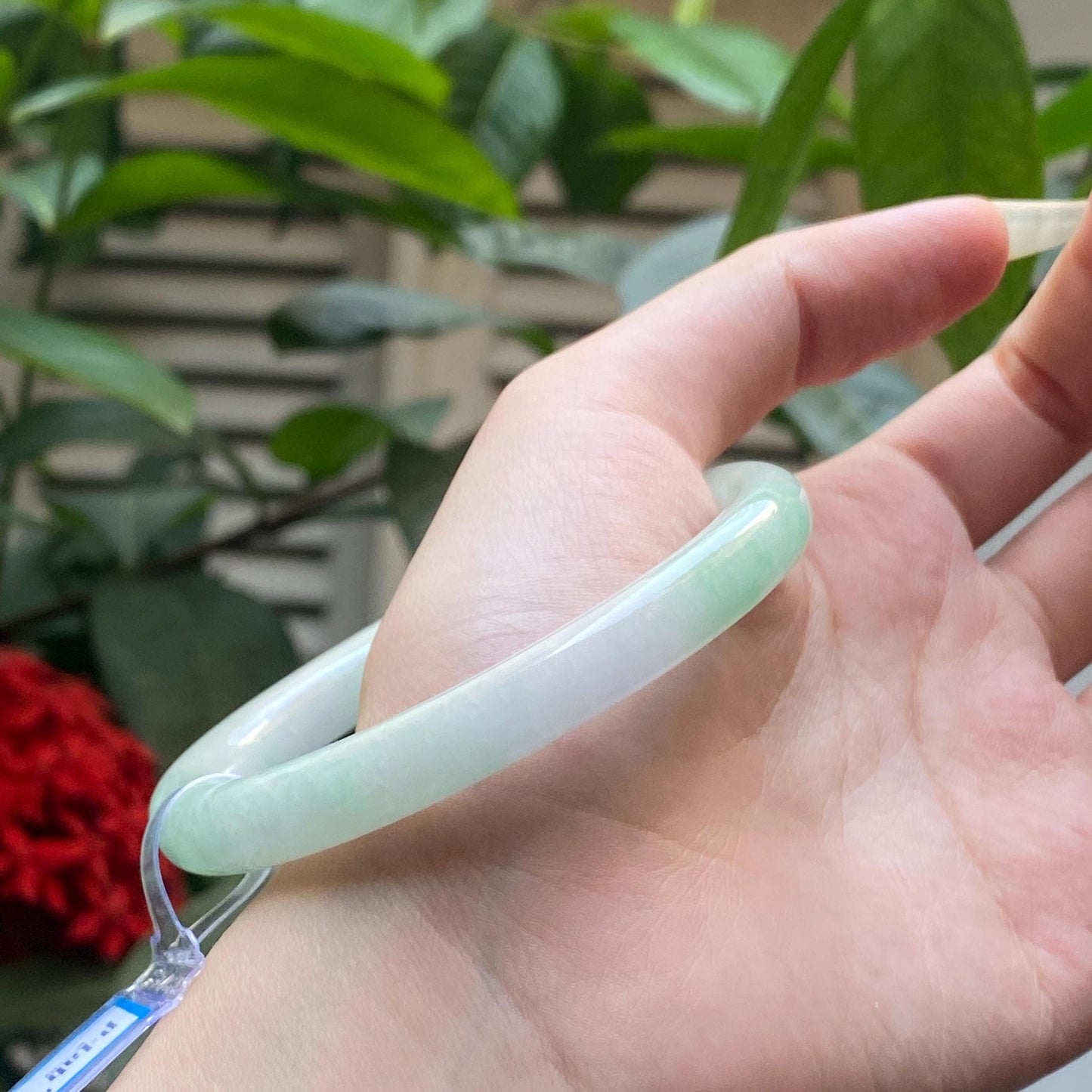 Yingmart 61mm PNJ317605 Certified Natural Color Grey White Natural Jadeite Jade Bangle Bracelet, Real Gemstone, Gift for Her Mom Grandma