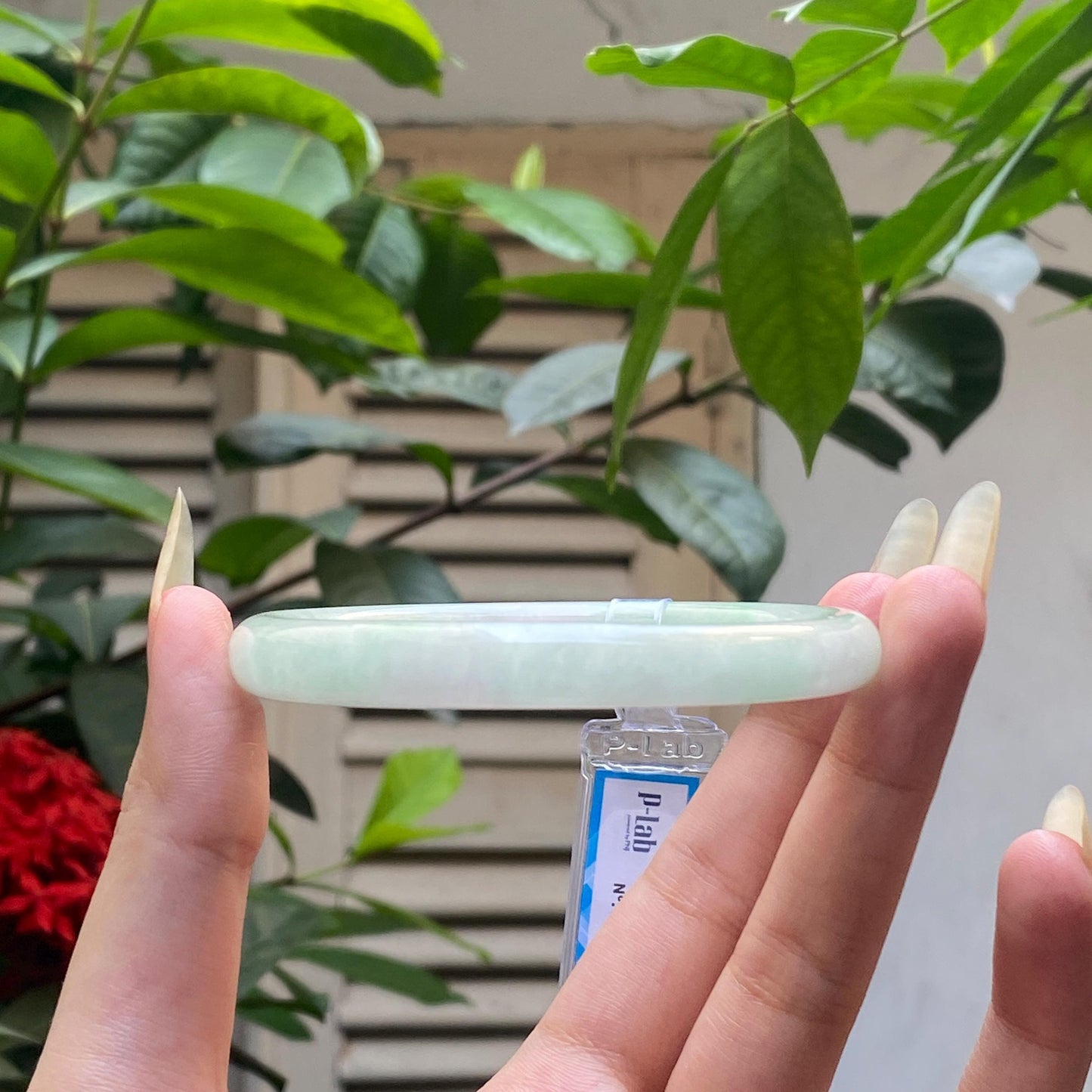 Yingmart 61mm PNJ317605 Certified Natural Color Grey White Natural Jadeite Jade Bangle Bracelet, Real Gemstone, Gift for Her Mom Grandma