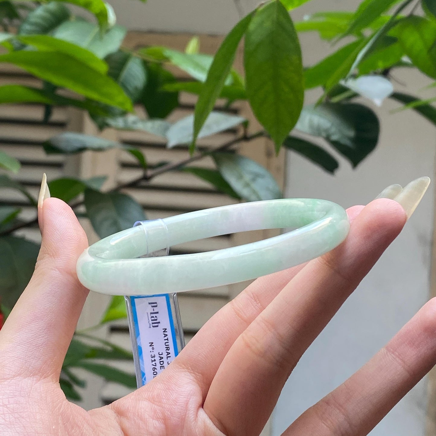 Yingmart 61mm PNJ317605 Certified Natural Color Grey White Natural Jadeite Jade Bangle Bracelet, Real Gemstone, Gift for Her Mom Grandma