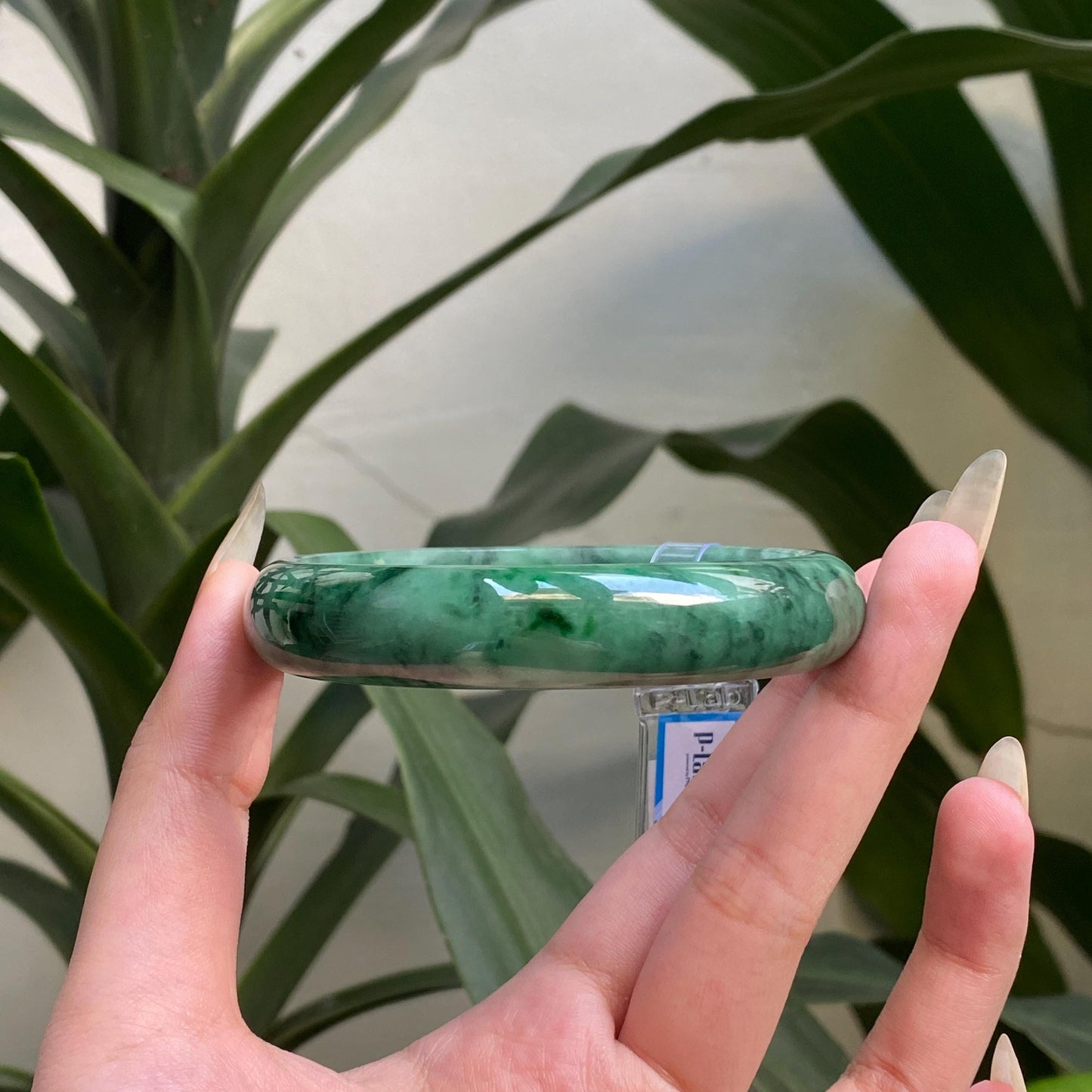 Yingmart 65mm PNJ322320 Certified Natural Color Green White To Green Natural Jadeite Jade Bangle Bracelet, Real Gemstone, Gift for Her Mom