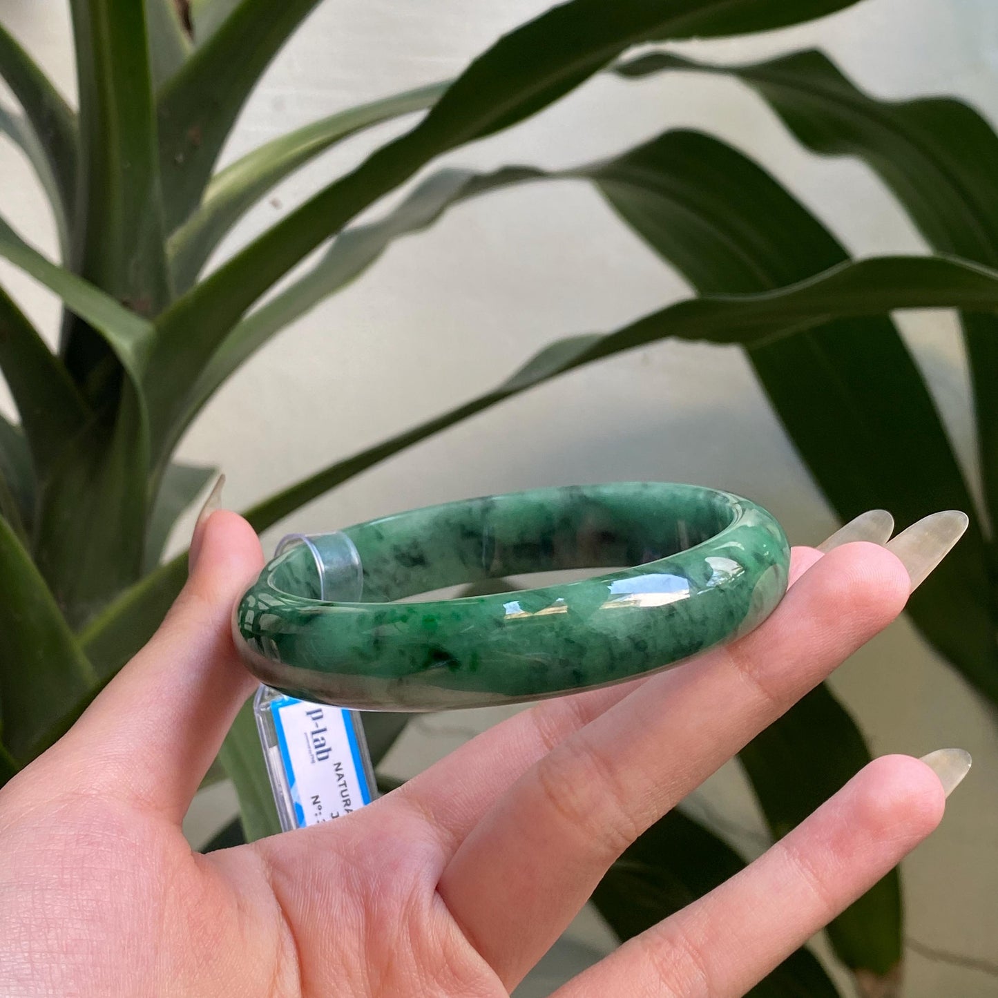 Yingmart 65mm PNJ322320 Certified Natural Color Green White To Green Natural Jadeite Jade Bangle Bracelet, Real Gemstone, Gift for Her Mom