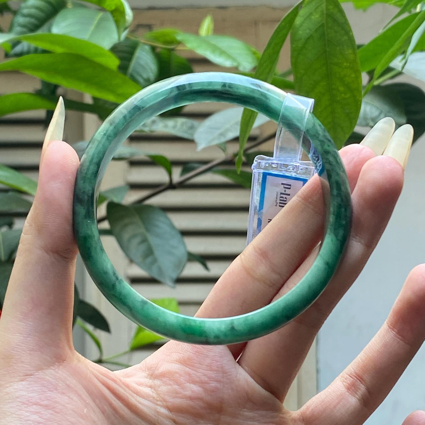 Yingmart 66mm PNJ322321 Certified Natural Color Green White To Green Natural Jadeite Jade Bangle Bracelet, Real Gemstone, Gift for Her Mom