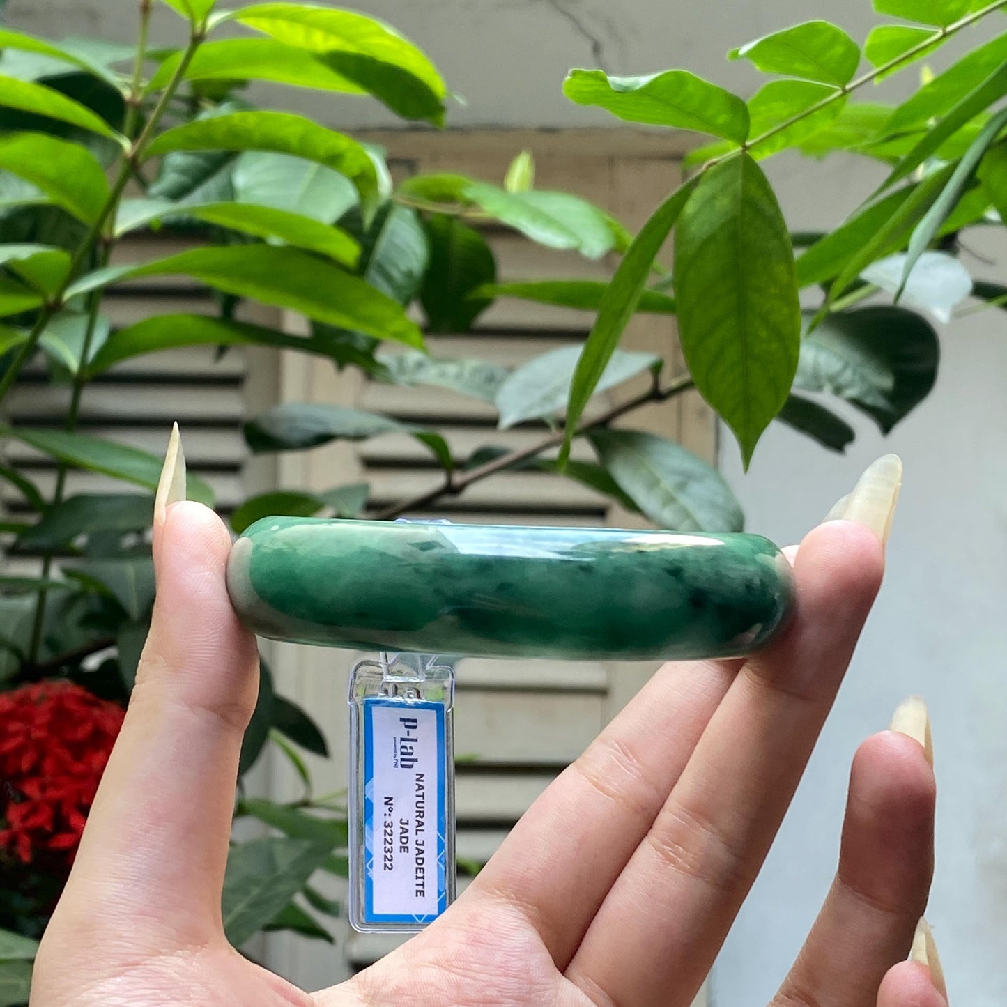 Yingmart 65mm PNJ322322 Certified Natural Color Green White To Green Natural Jadeite Jade Bangle Bracelet, Real Gemstone, Gift for Her Mom