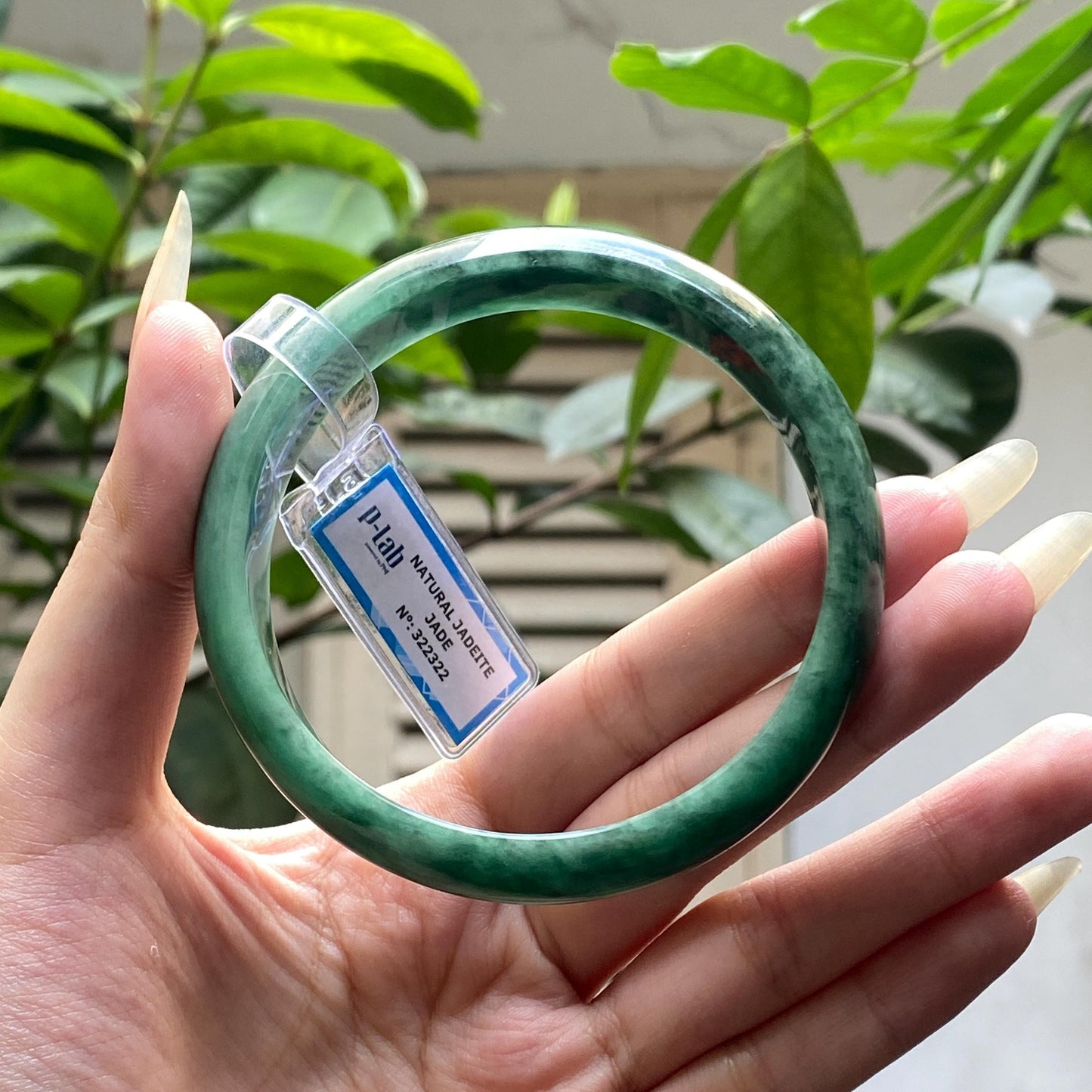 Yingmart 65mm PNJ322322 Certified Natural Color Green White To Green Natural Jadeite Jade Bangle Bracelet, Real Gemstone, Gift for Her Mom