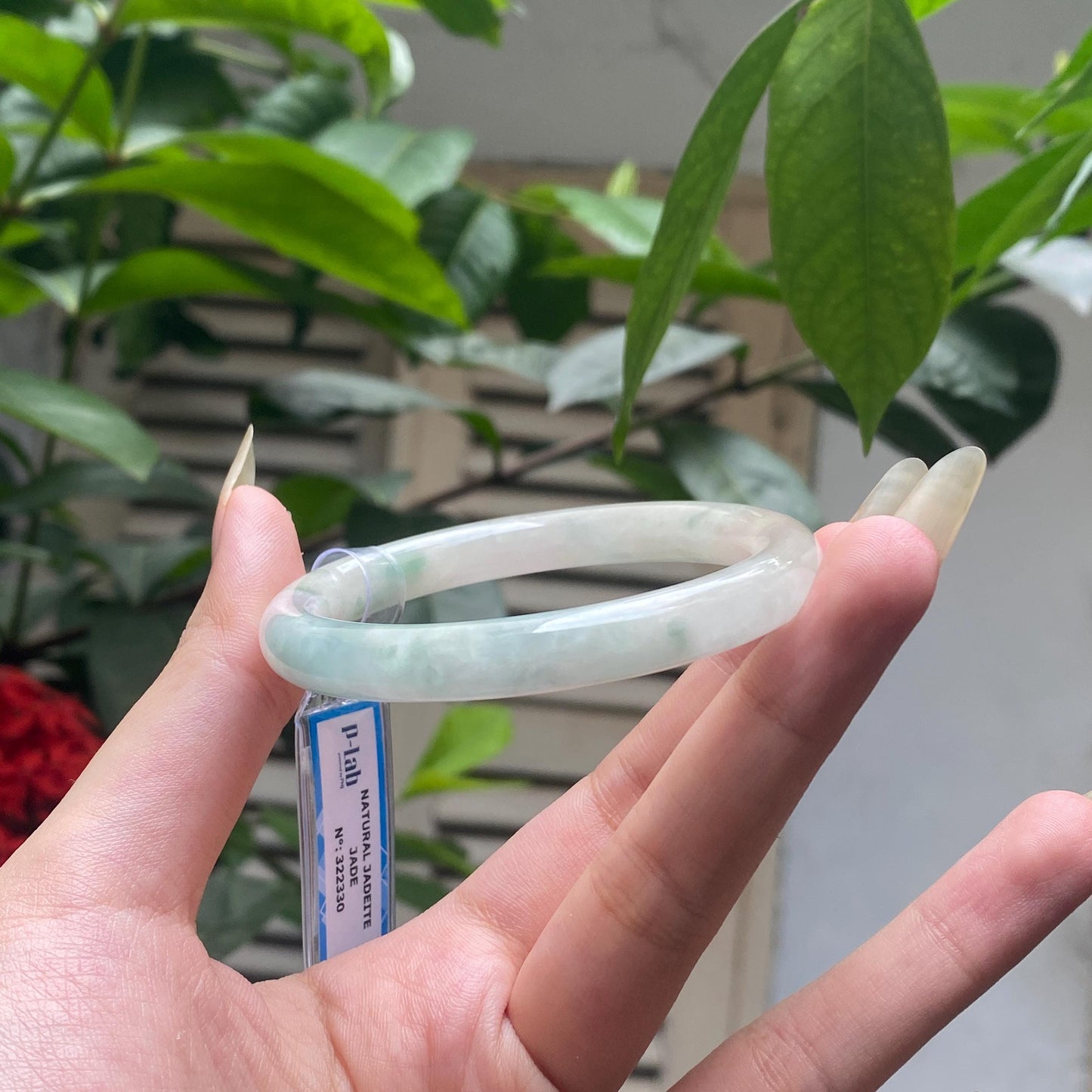 Yingmart 52mm PNJ322330 Certified Natural Color Green White To Light Green Natural Jadeite Jade Bangle Bracelet, Real Gemstone, Gift for Her