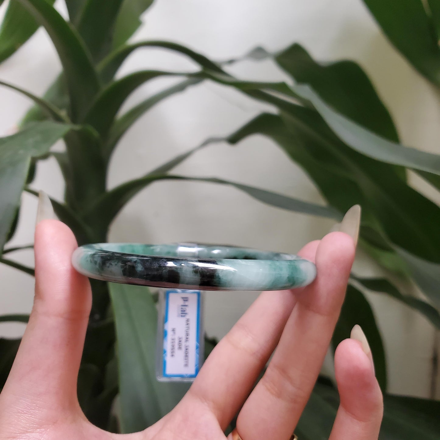 Yingmart 61mm PNJ319554 Certified Natural Color Grey White Natural Jadeite Jade Bangle Bracelet, Real Gemstone, Gift for Her Mom Grandma