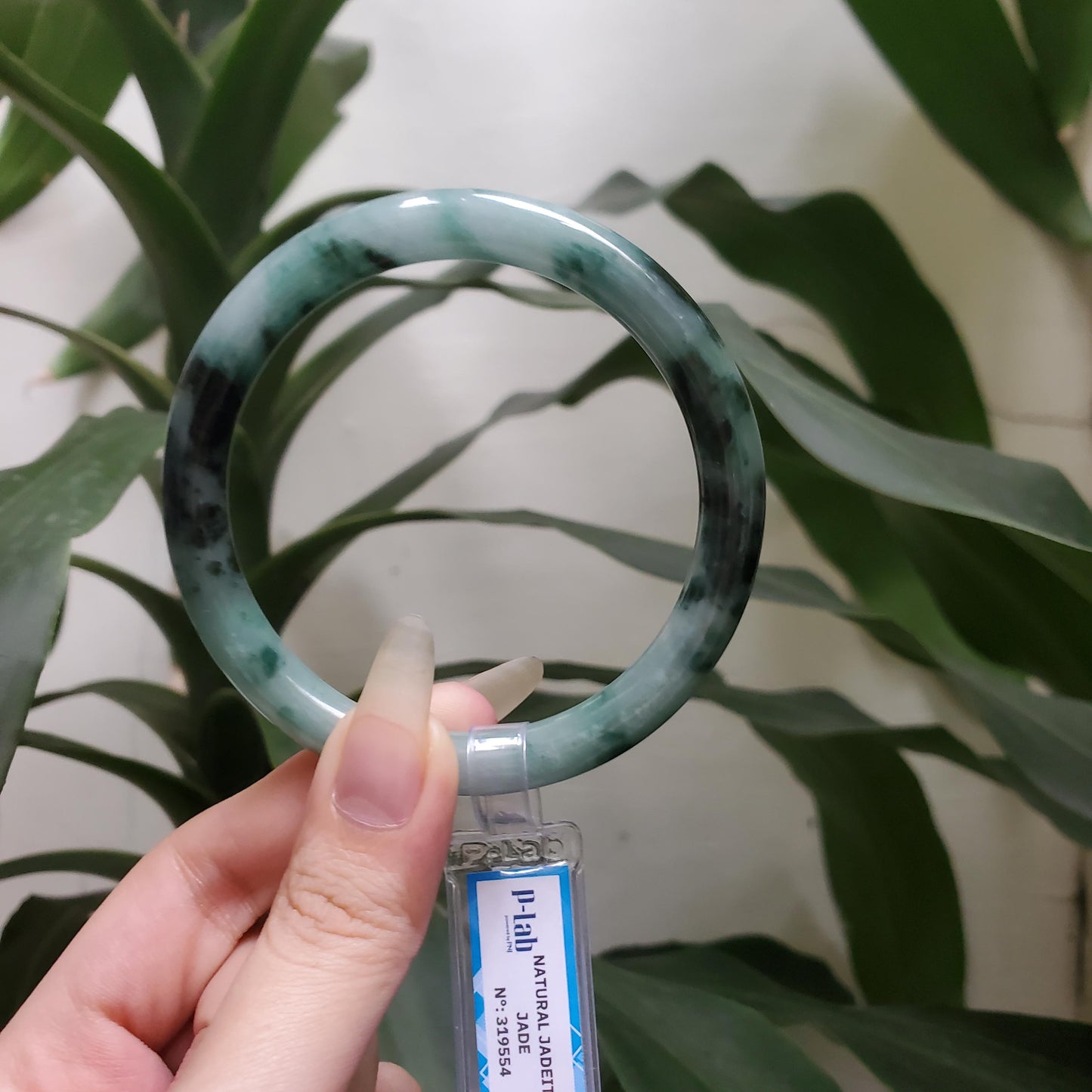 Yingmart 61mm PNJ319554 Certified Natural Color Grey White Natural Jadeite Jade Bangle Bracelet, Real Gemstone, Gift for Her Mom Grandma