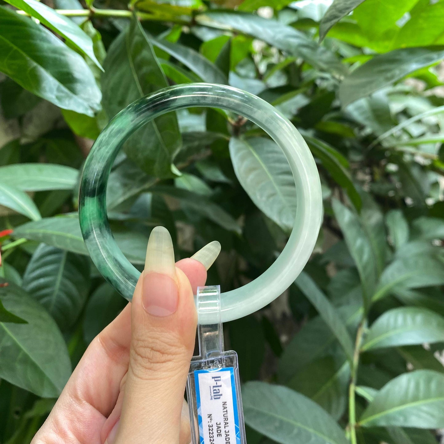 Yingmart 65mm PNJ322324 Certified Natural Green White To Green Bracelet, Real Gemstone Bracelet, Vintage Jewelry, Gift for her