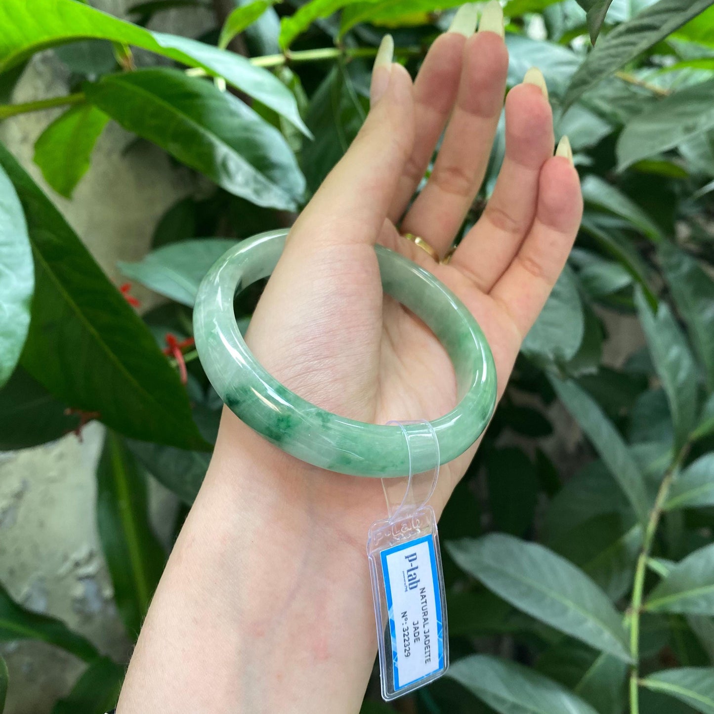 Yingmart 62mm PNJ322329 Certified Natural Green White To Green Bracelet, Real Gemstone Bracelet, Vintage Jewelry, Gift for her