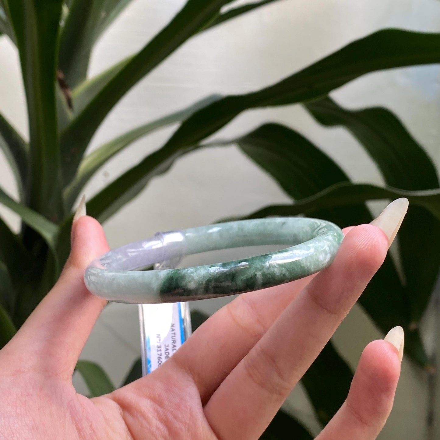 Yingmart 61mm PNJ317600 Certified Natural Color Green White To Dark Greyish Green Natural Jadeite Jade Bangle Bracelet, Real Gemstone
