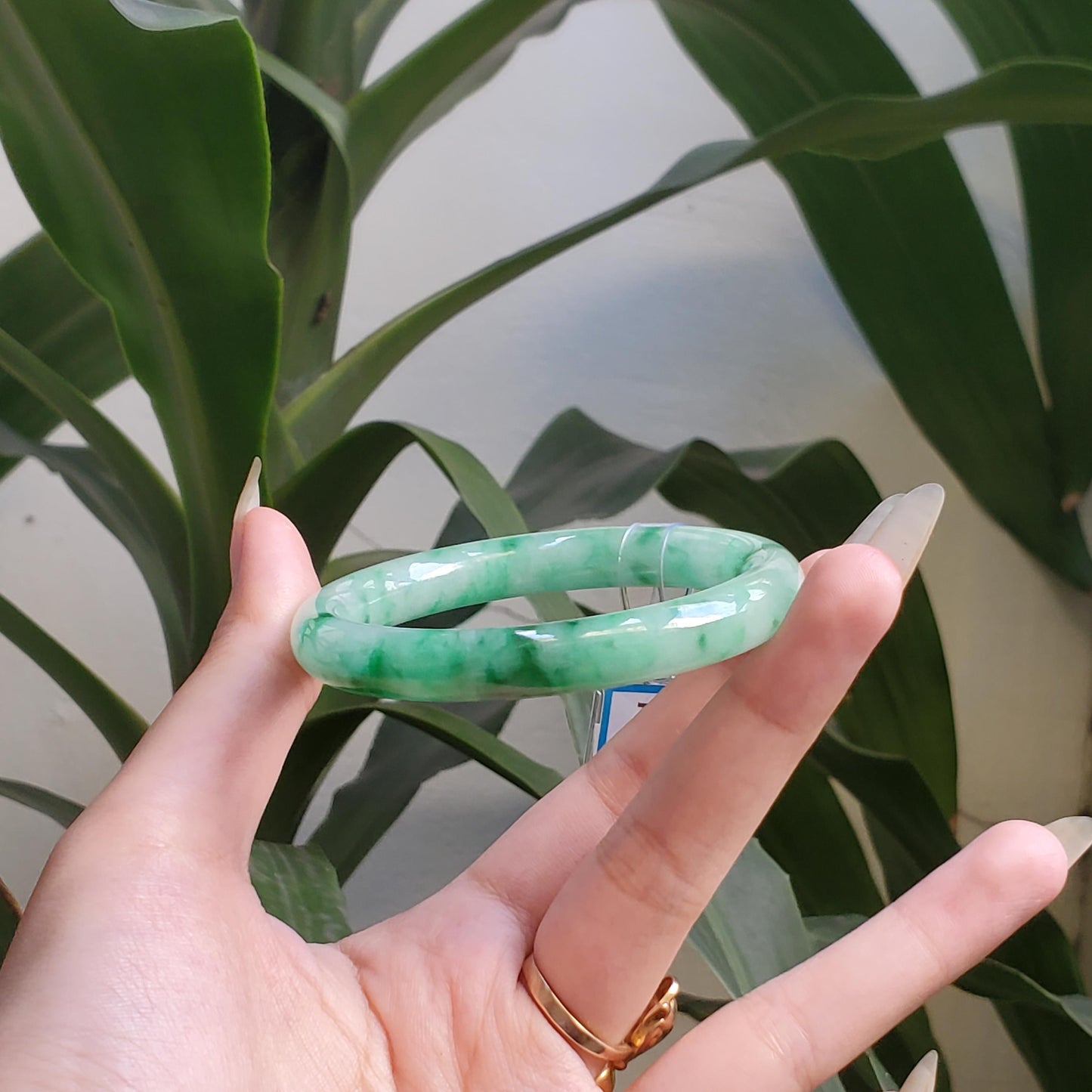 Yingmart 54mm PNJ327631 Certified Natural Color Grey White Natural Jadeite Jade Bangle Bracelet, Real Gemstone, Gift for Her Mom Grandma