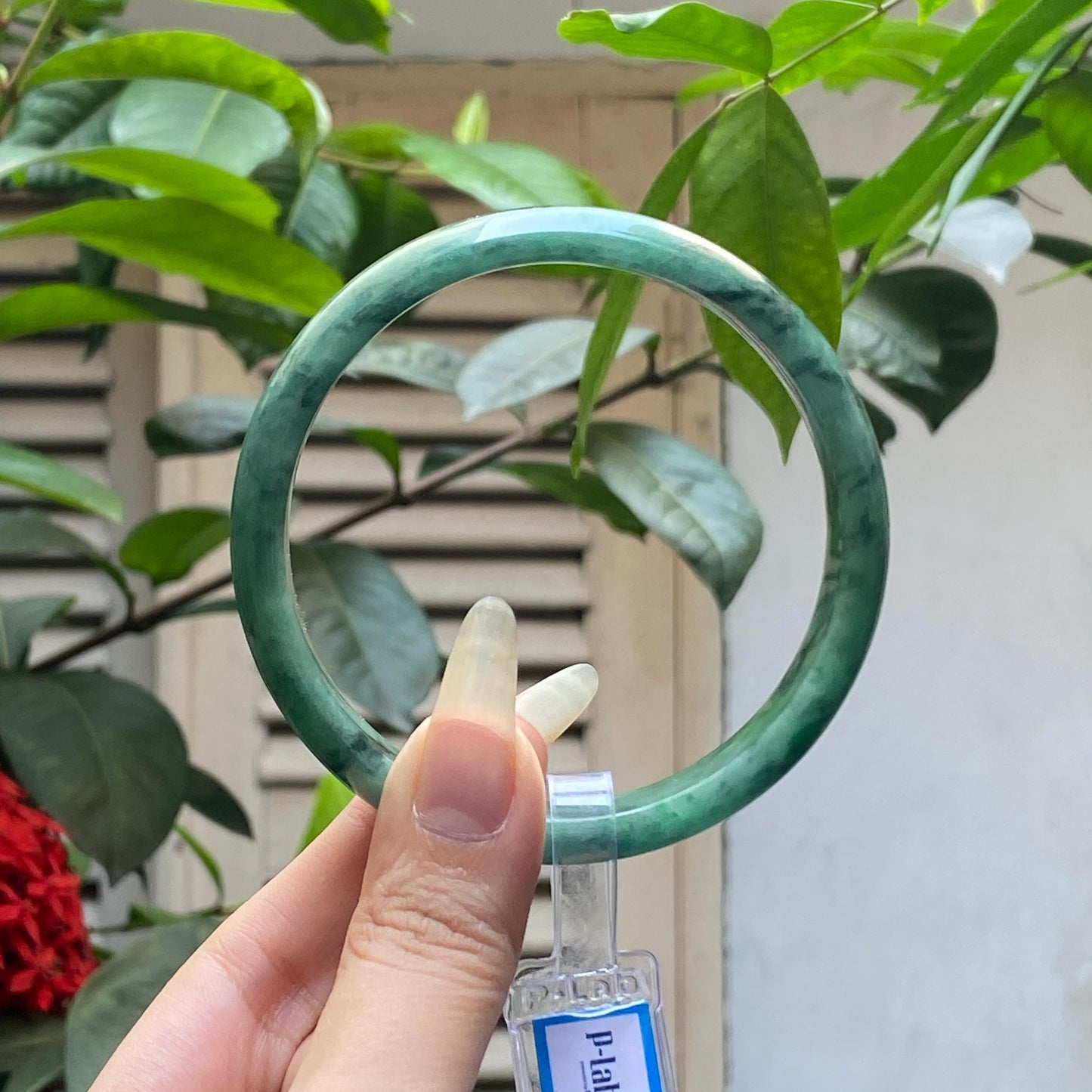 Yingmart 66mm PNJ322321 Certified Natural Color Green White To Green Natural Jadeite Jade Bangle Bracelet, Real Gemstone, Gift for Her Mom