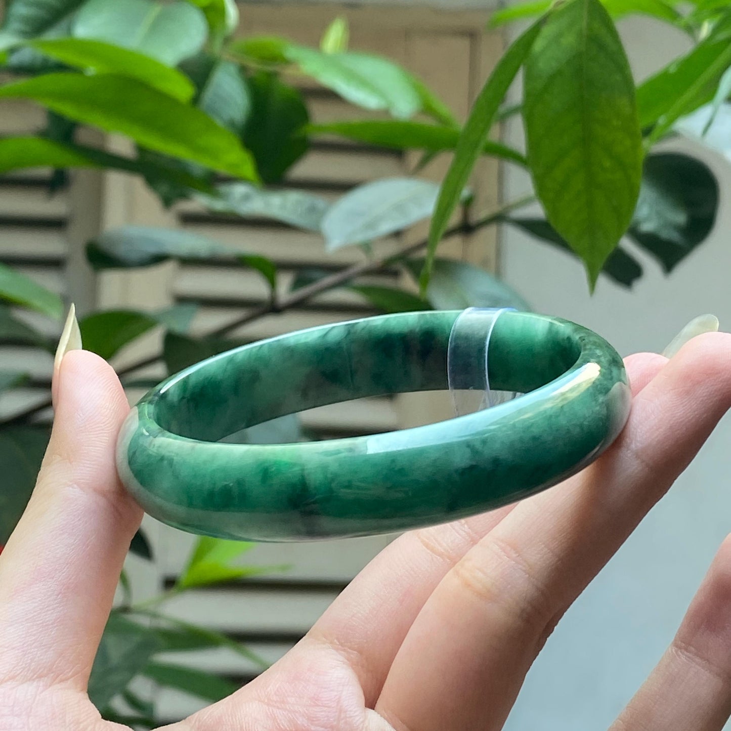 Yingmart 66mm PNJ322321 Certified Natural Color Green White To Green Natural Jadeite Jade Bangle Bracelet, Real Gemstone, Gift for Her Mom