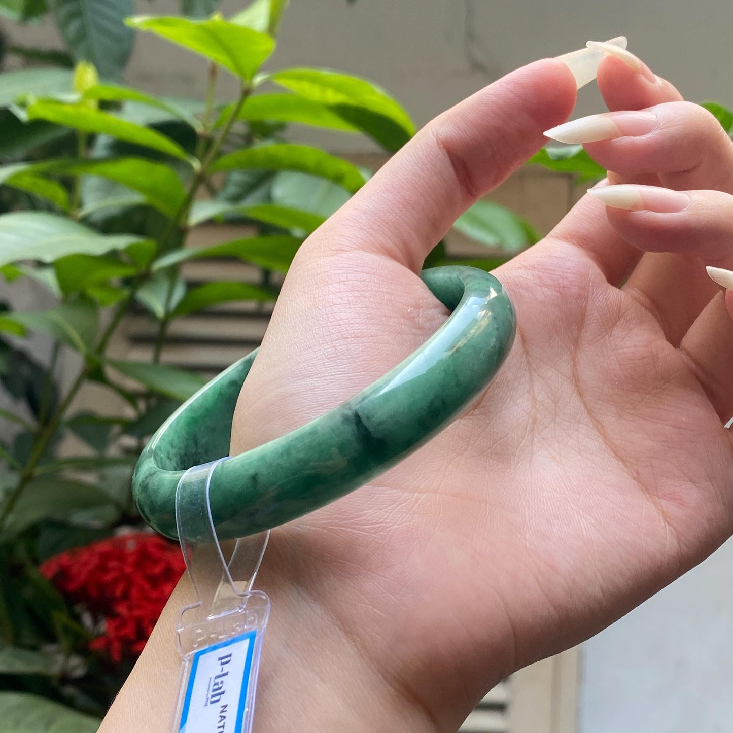 Yingmart 66mm PNJ322321 Certified Natural Color Green White To Green Natural Jadeite Jade Bangle Bracelet, Real Gemstone, Gift for Her Mom