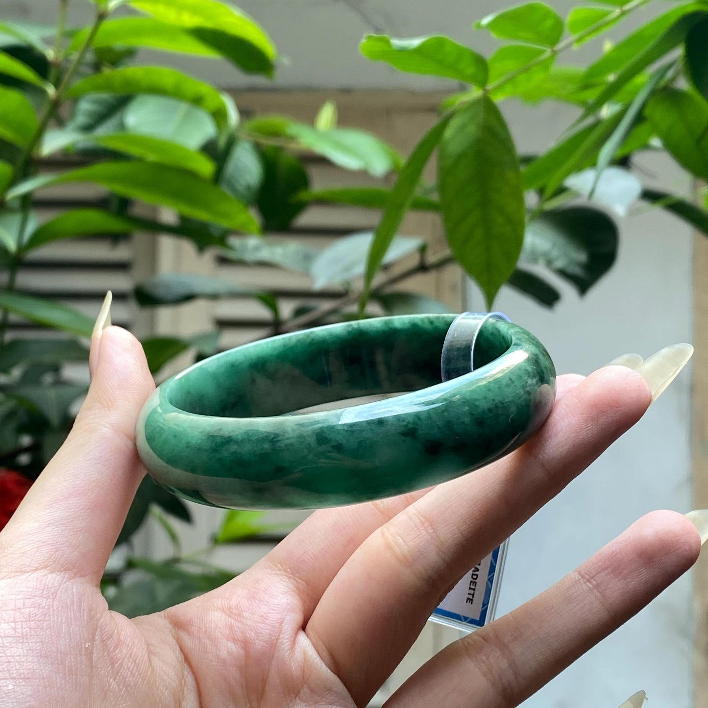 Yingmart 65mm PNJ322322 Certified Natural Color Green White To Green Natural Jadeite Jade Bangle Bracelet, Real Gemstone, Gift for Her Mom
