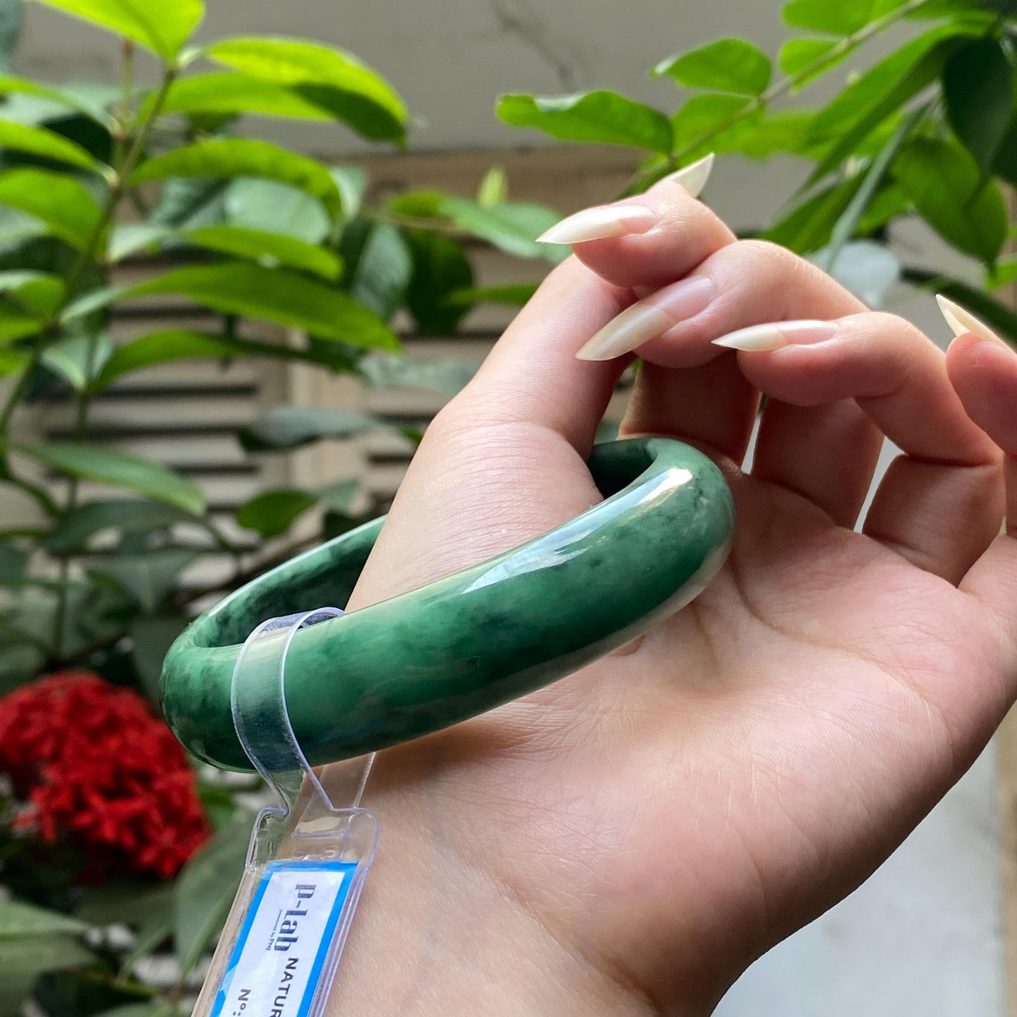 Yingmart 65mm PNJ322322 Certified Natural Color Green White To Green Natural Jadeite Jade Bangle Bracelet, Real Gemstone, Gift for Her Mom
