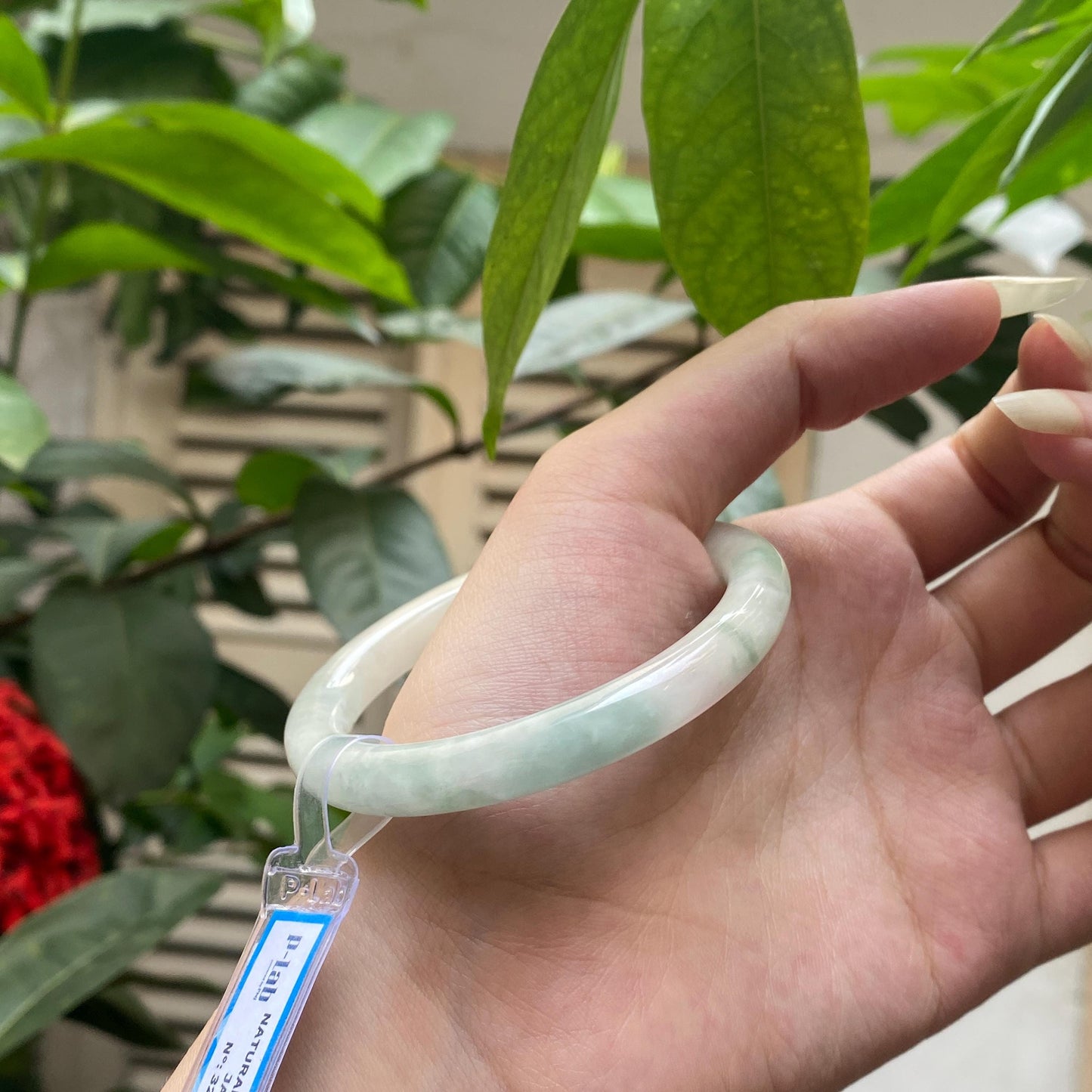 Yingmart 52mm PNJ322330 Certified Natural Color Green White To Light Green Natural Jadeite Jade Bangle Bracelet, Real Gemstone, Gift for Her