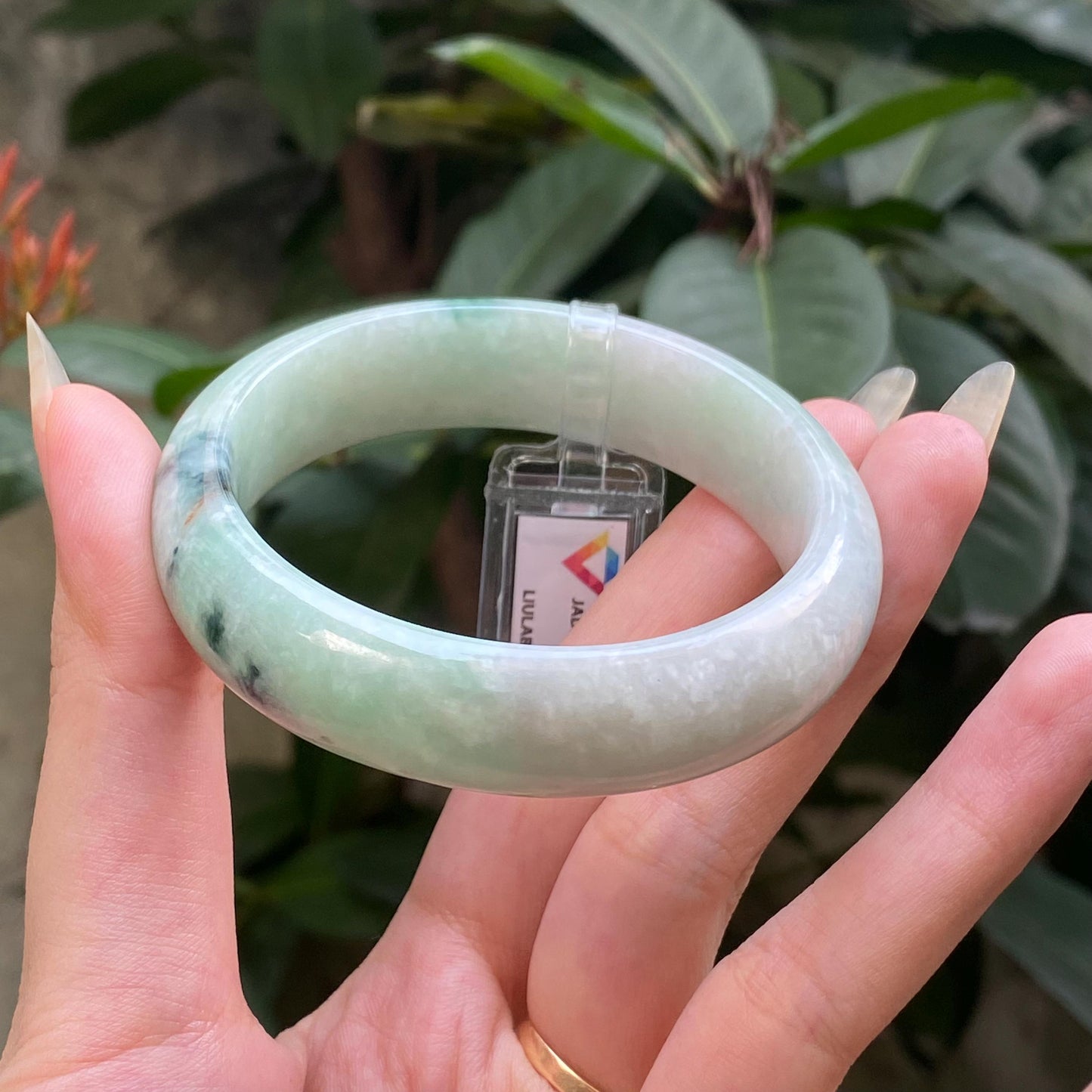 Yingmart 55mm LIULAB 835497 Certified Natural Color Green Grey, Pale White  Natural Jadeite Jade Bangle Bracelet, Real Gemstone,Gift for her