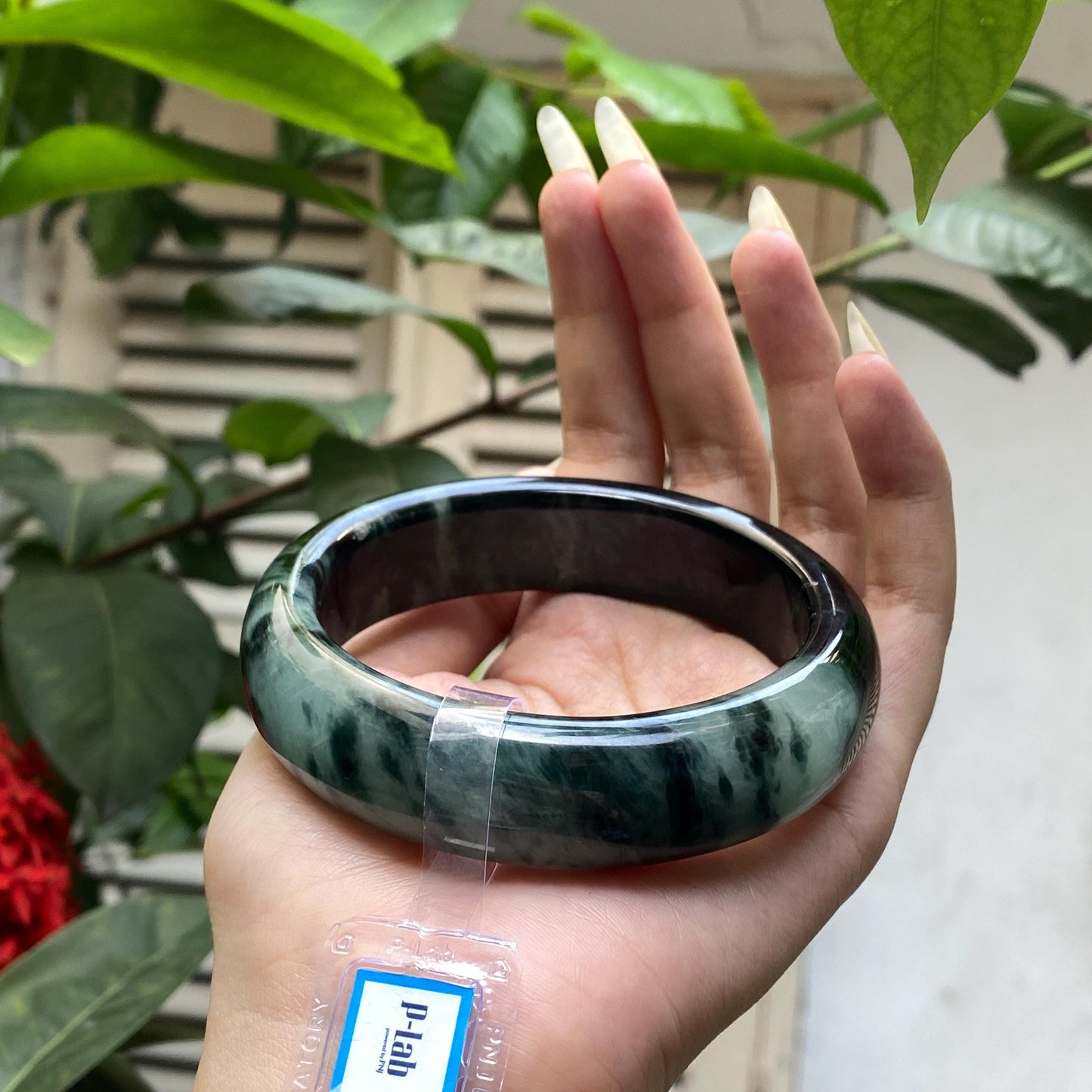 Yingmart 67mm PNJ325771 Certified Natural Color Black Grey White Natural Jadeite Jade Bangle Bracelet, Real Gemstone, Gift for Her Mom