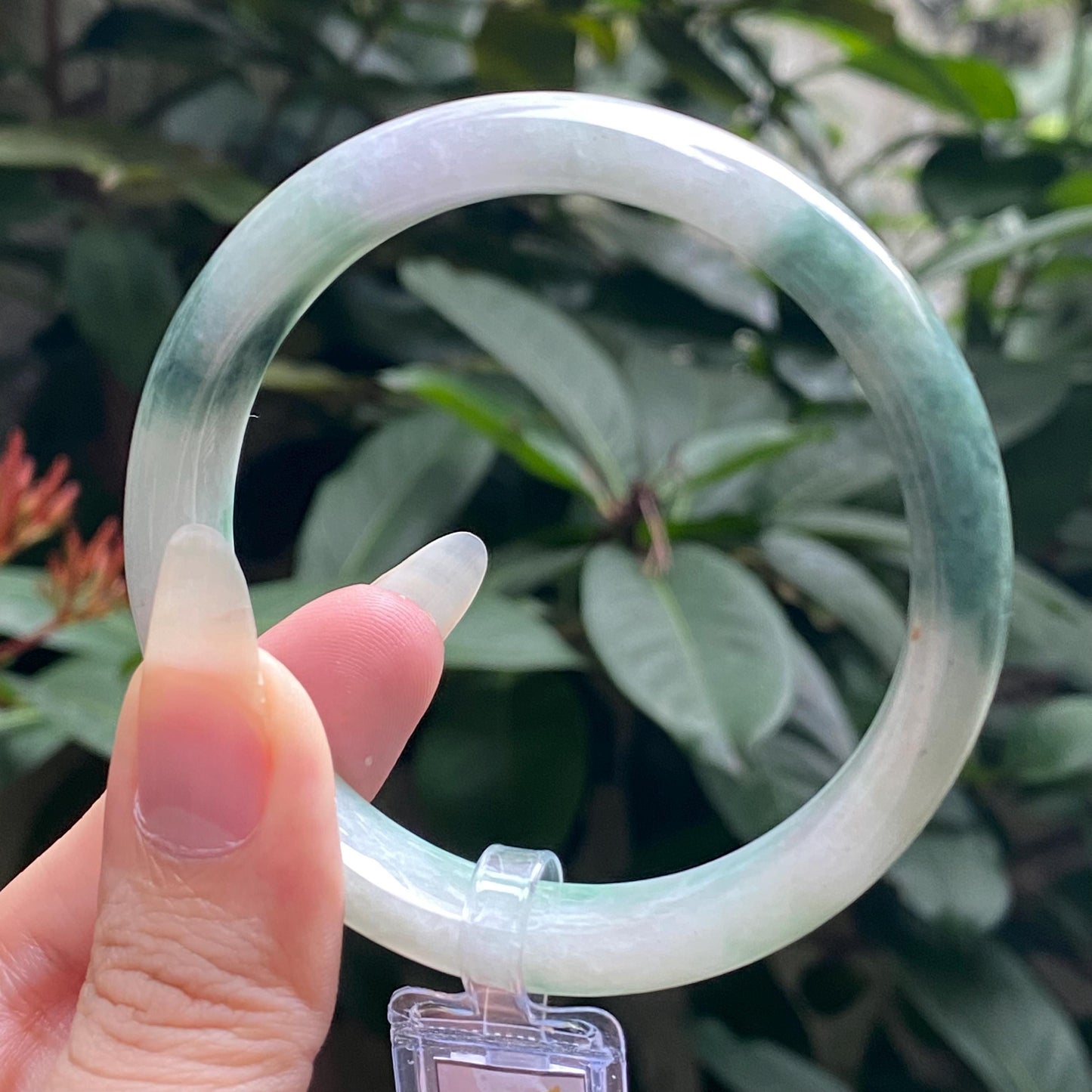 Yingmart 55mm LIULAB 689456 Certified Natural Color Green Grey, Pale White Natural Jadeite Jade Bangle Bracelet, Real Gemstone, Gift for her