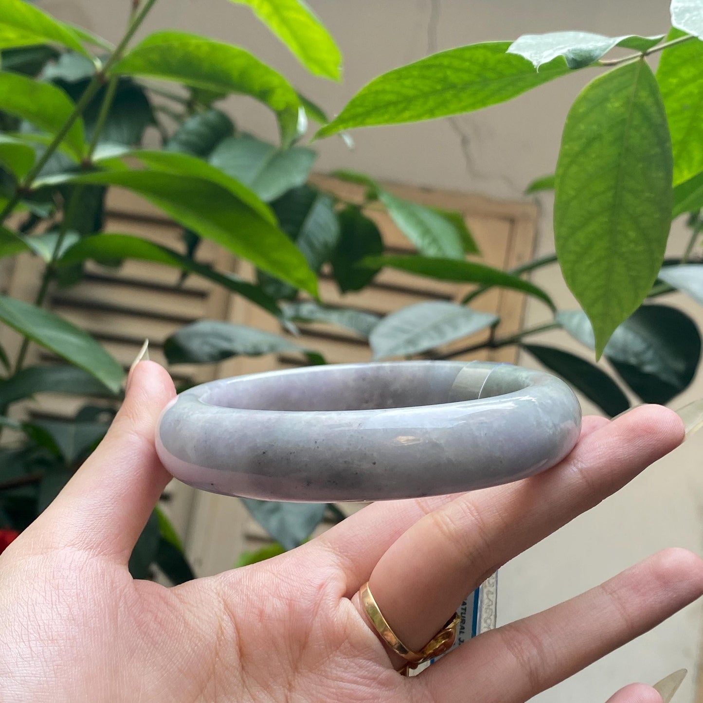 Jade Bangle 71mm PNJ325760 Certified | Natural Color Grey White, Very Light Purple Jade Bangle Bracelet, Real Gemstone, Gift for Women, Men