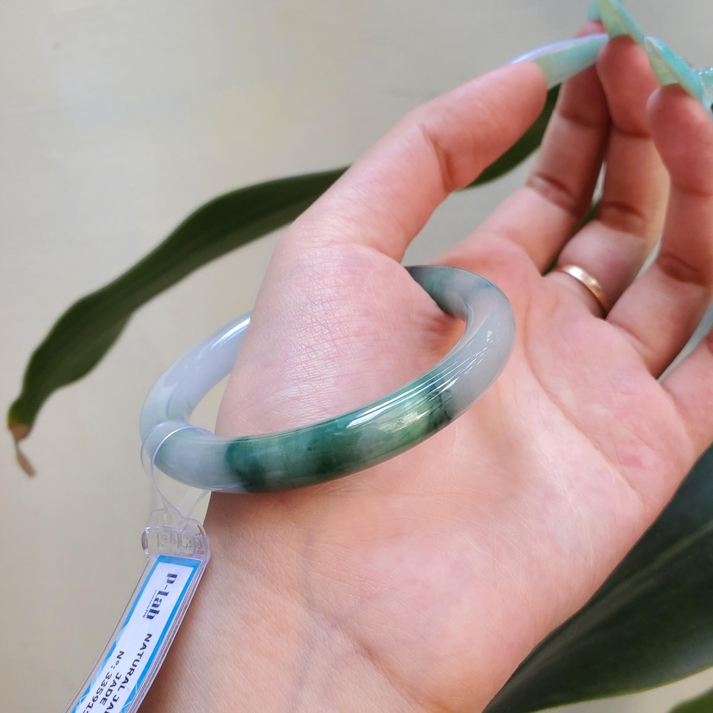Yingmart 53mm PNJ Certified Natural Color Dark Green Green White Natural Jadeite Jade Bangle Bracelet, Real Gemstone Gift for Her Mom Sister