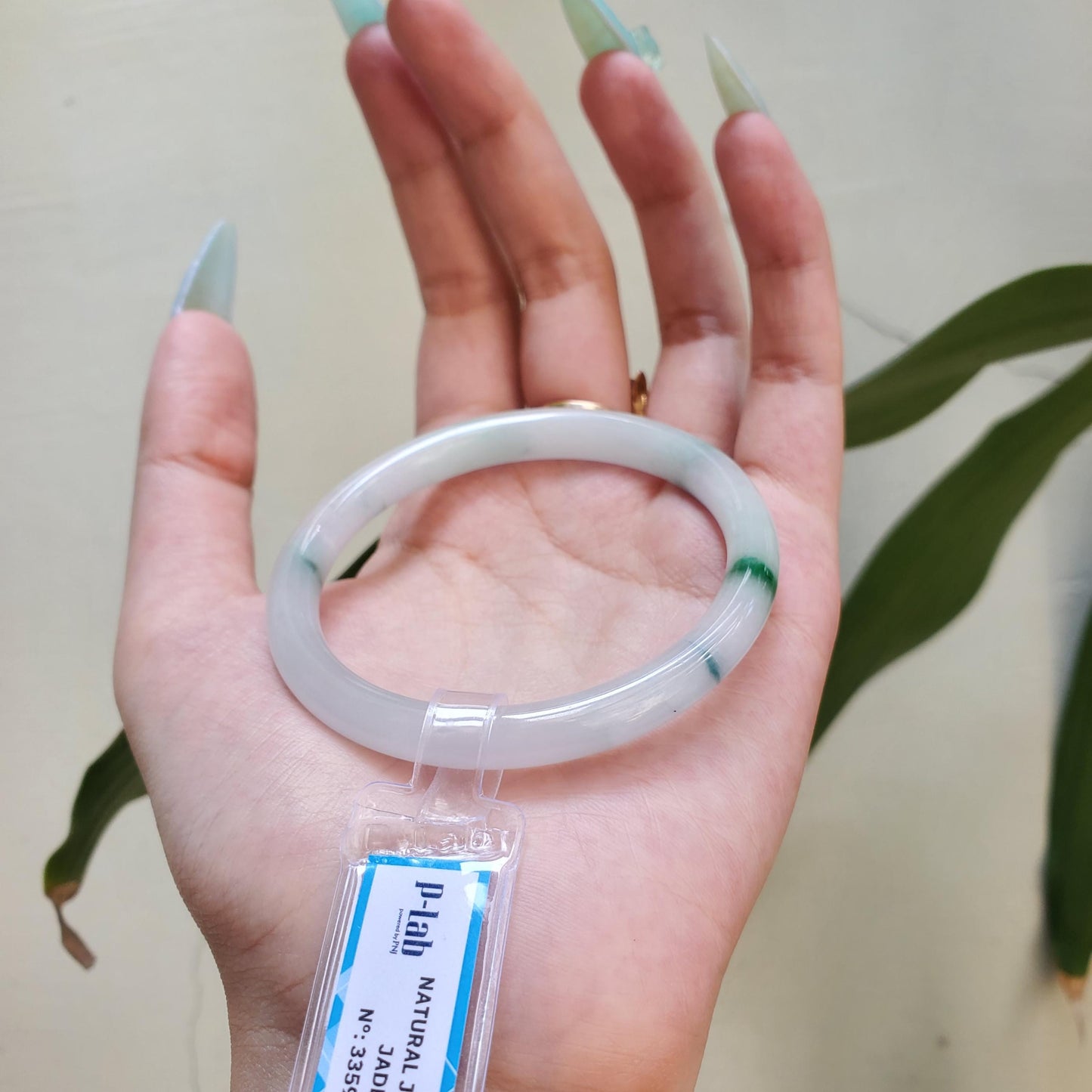 Yingmart 55mm PNJ Certified Natural Color White Grey Light Green Natural Jadeite Jade Bangle Bracelet, Real Gemstone Gift for her Mom Sister