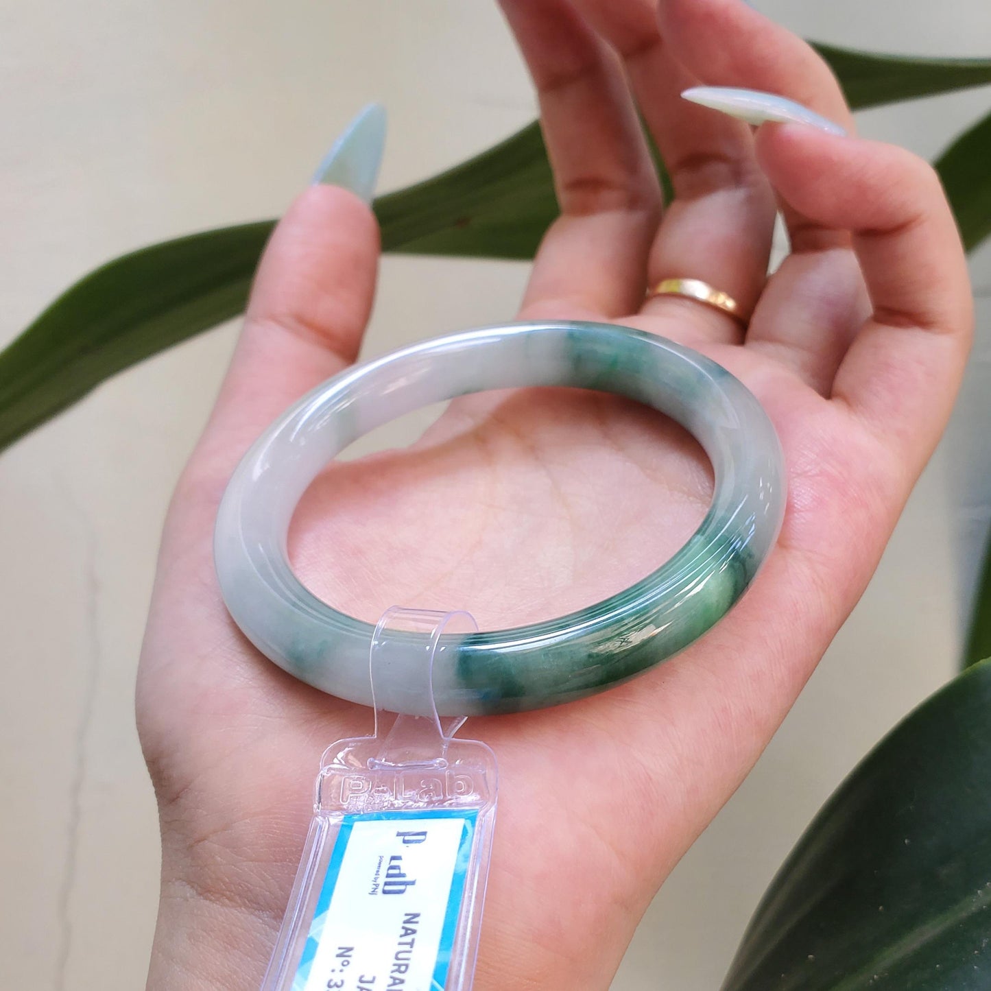 Yingmart 53mm PNJ Certified Natural Color Dark Green Green White Natural Jadeite Jade Bangle Bracelet, Real Gemstone Gift for Her Mom Sister