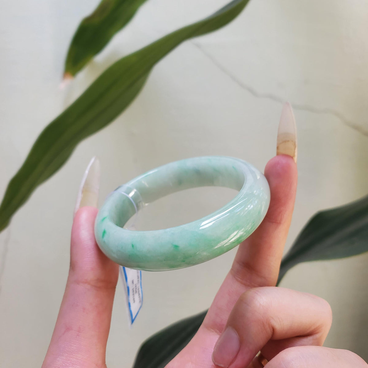 PNJ Certified Natural Green White Jadeite Bangle Bracelet, Semi-Translucent (49mm)