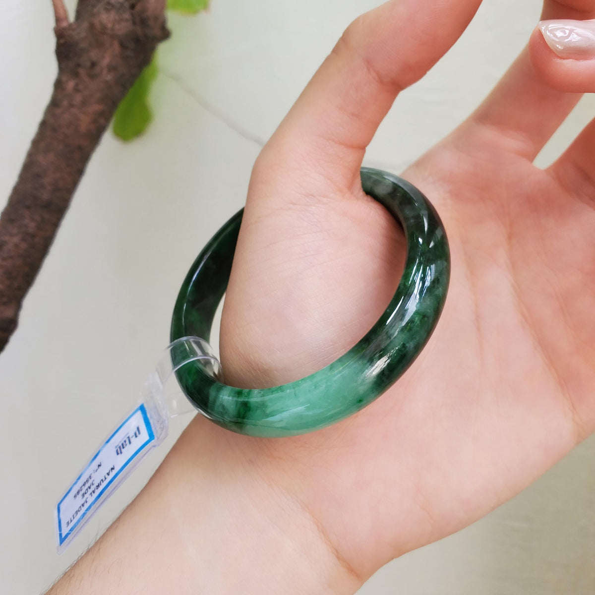 Certified 51 mm Natural Jade Bangle Dark Green Grey White Brown PNJ 356285 YingMart