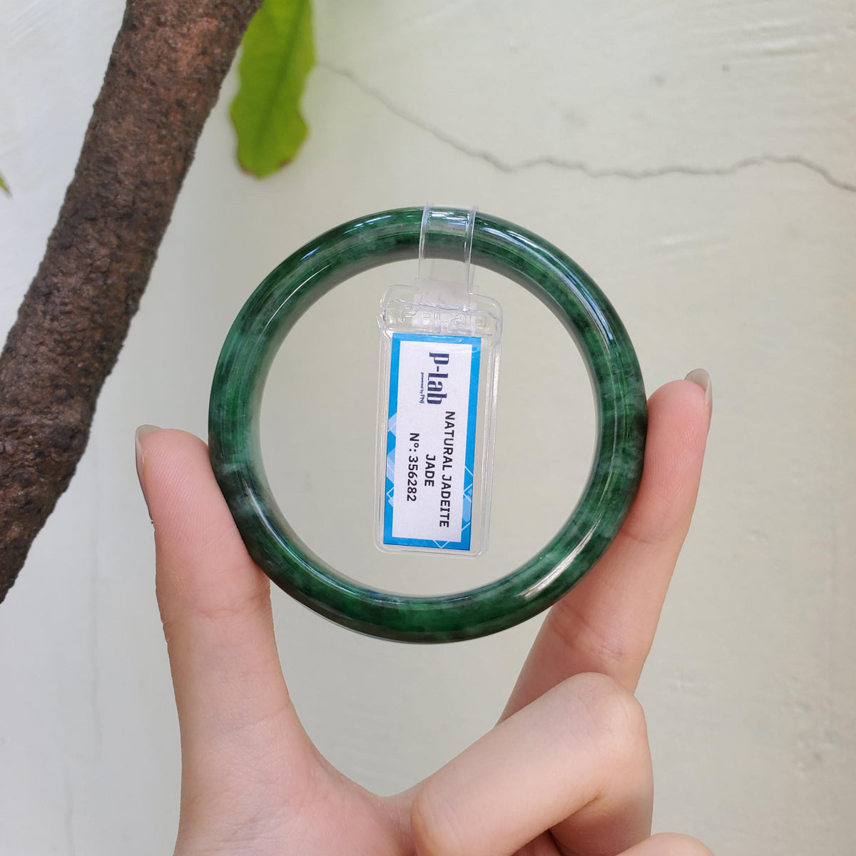 Certified 51 mm Natural Jade Bangle Green Grey White Brown Black PNJ 356282 YingMart
