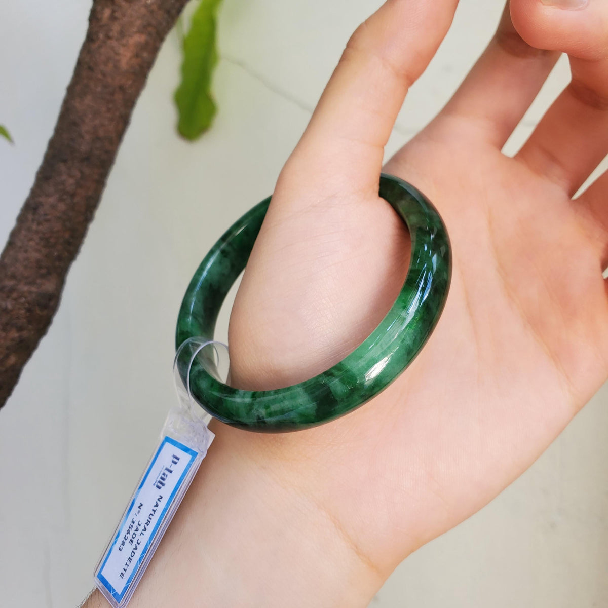 Certified 53 mm Natural Jade Bangle Green Grey White Brown Black PNJ 356283 YingMart