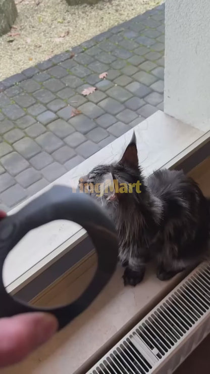 Pet Cat Dog Mask Half-Face Black Bat Handmade Adjustable Funny Halloween Cosplay Outfit Costume