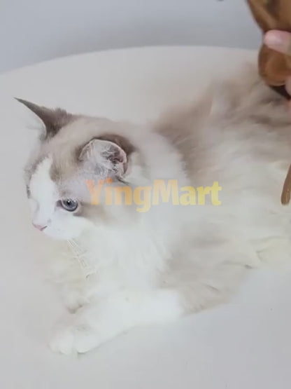 Funny Cockroach Pet Costume for Dogs Cats Halloween Outfit Cosplay Shirt Small Large